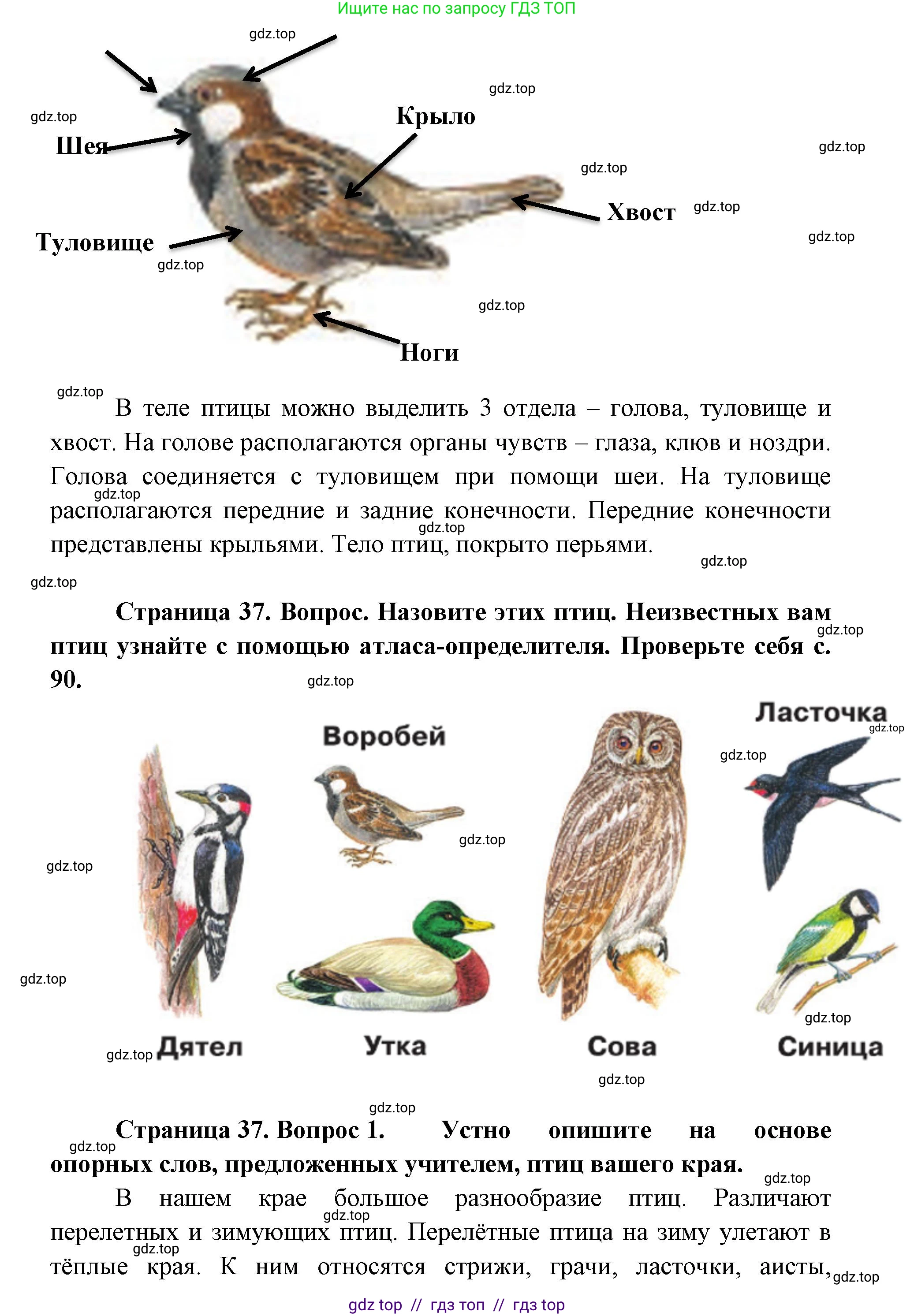 Окружающий мир, 1 класс Учебник, автор: Плешаков Андрей Анатольевич, издательство Просвещение, Москва, 2023, белого цвета, Часть 1, страница 36, Решение 2 (продолжение 3)