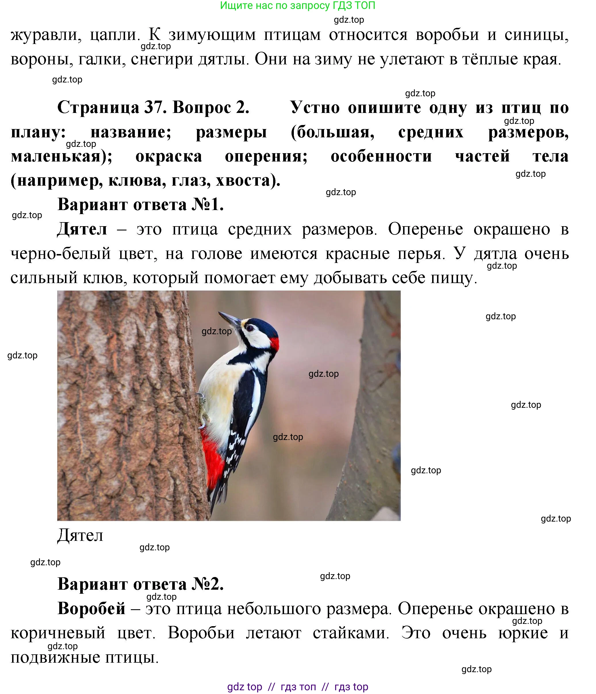 Окружающий мир, 1 класс Учебник, автор: Плешаков Андрей Анатольевич, издательство Просвещение, Москва, 2023, белого цвета, Часть 1, страница 36, Решение 2 (продолжение 4)