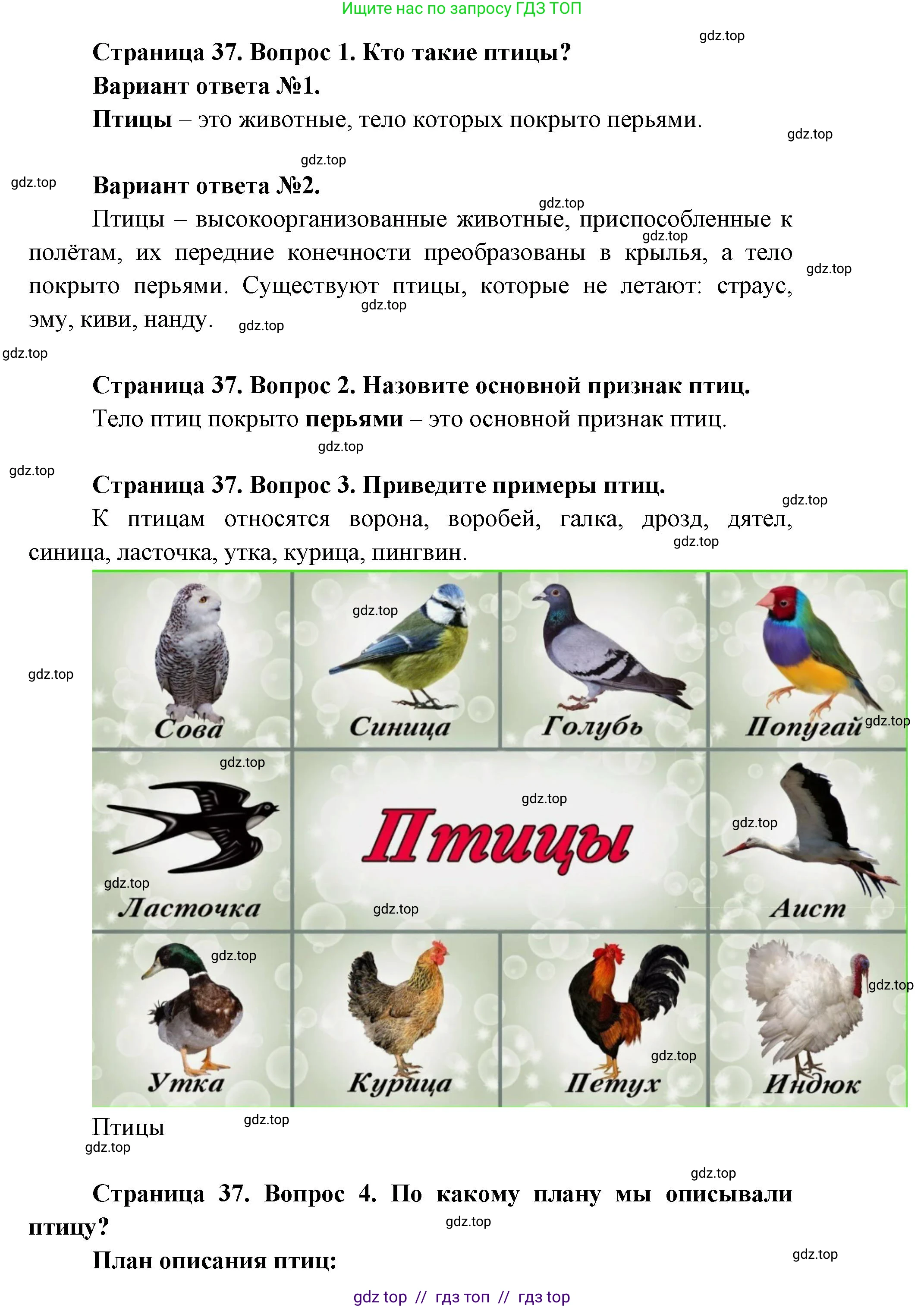 Окружающий мир, 1 класс Учебник, автор: Плешаков Андрей Анатольевич, издательство Просвещение, Москва, 2023, белого цвета, Часть 1, страница 36, Решение 2 (продолжение 8)
