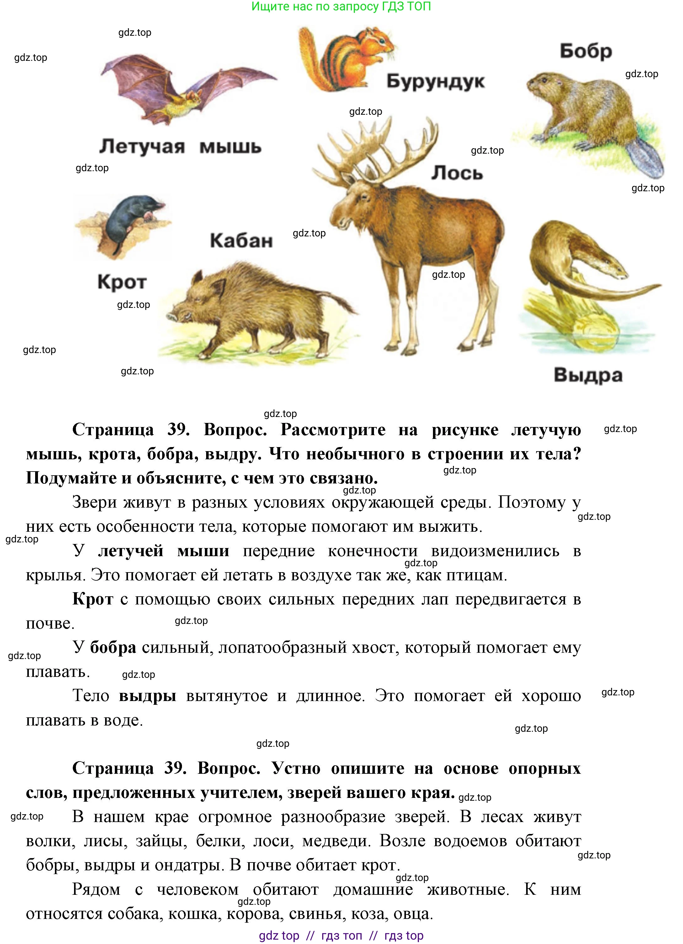 Окружающий мир, 1 класс Учебник, автор: Плешаков Андрей Анатольевич, издательство Просвещение, Москва, 2023, белого цвета, Часть 1, страница 38, Решение 2 (продолжение 4)
