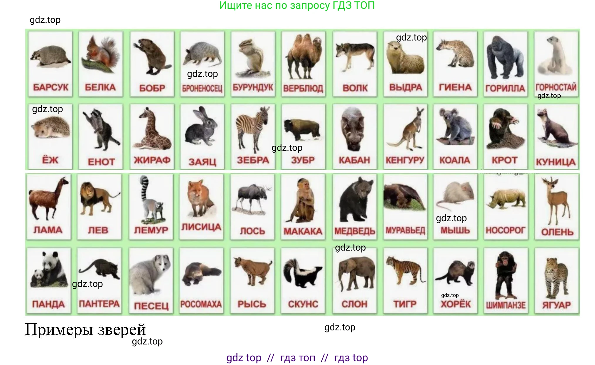 Окружающий мир, 1 класс Учебник, автор: Плешаков Андрей Анатольевич, издательство Просвещение, Москва, 2023, белого цвета, Часть 1, страница 38, Решение 2 (продолжение 6)