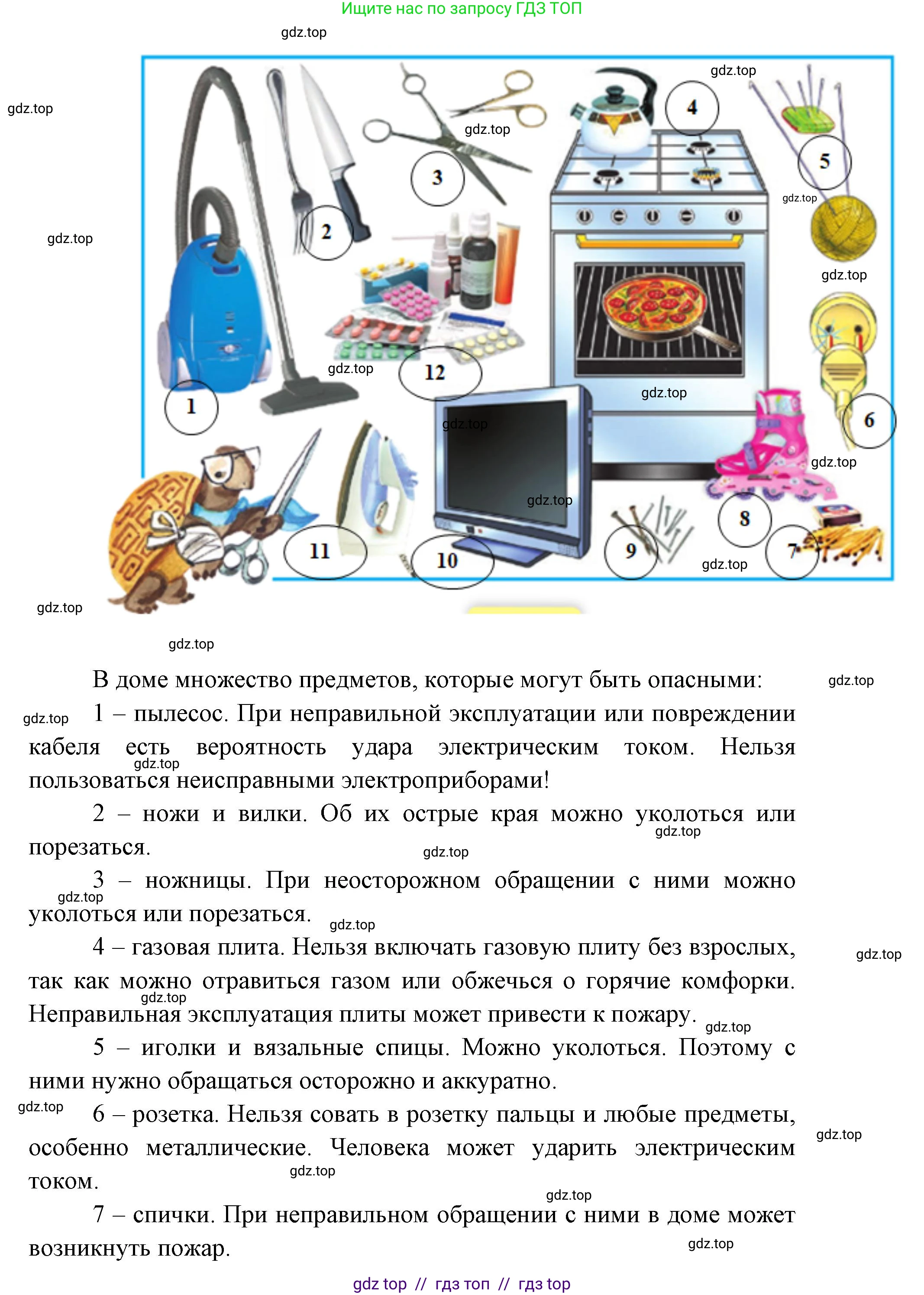 Окружающий мир, 1 класс Учебник, автор: Плешаков Андрей Анатольевич, издательство Просвещение, Москва, 2023, белого цвета, Часть 1, страница 42, Решение 2 (продолжение 2)