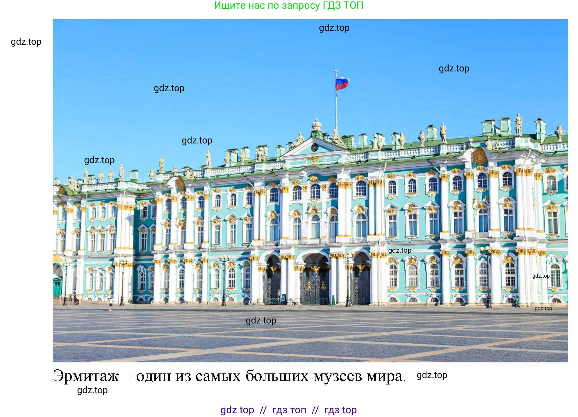 Окружающий мир, 1 класс Учебник, автор: Плешаков Андрей Анатольевич, издательство Просвещение, Москва, 2023, белого цвета, Часть 1, страница 46, Решение 2 (продолжение 7)