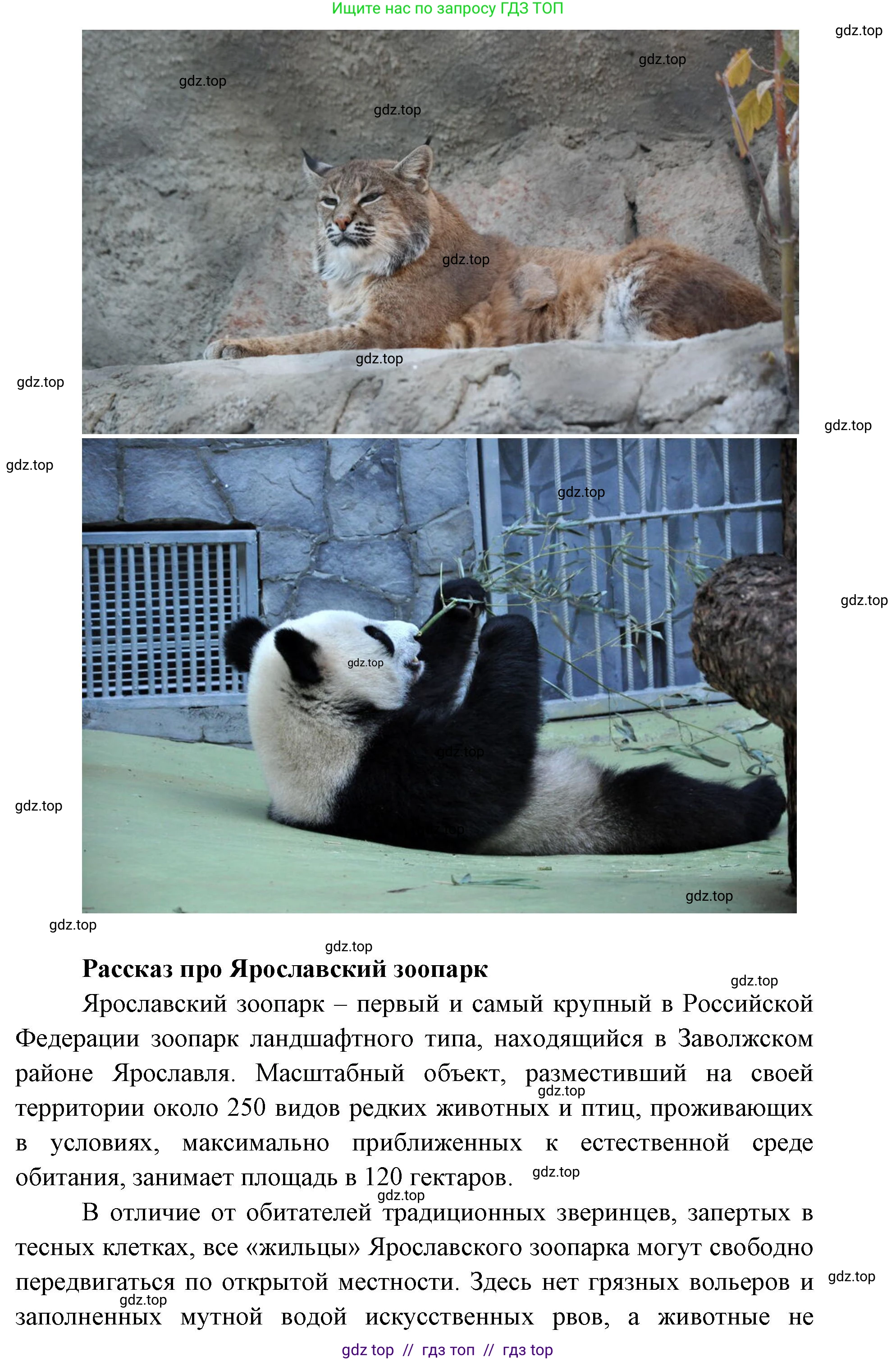 Окружающий мир, 1 класс Учебник, автор: Плешаков Андрей Анатольевич, издательство Просвещение, Москва, 2023, белого цвета, Часть 1, страница 46, Решение 2 (продолжение 9)