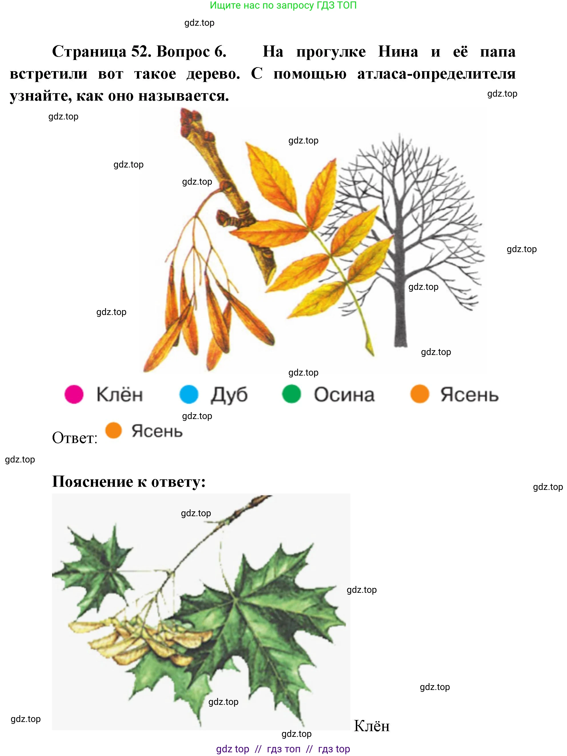 Окружающий мир, 1 класс Учебник, автор: Плешаков Андрей Анатольевич, издательство Просвещение, Москва, 2023, белого цвета, Часть 1, страница 50, Решение 2 (продолжение 6)