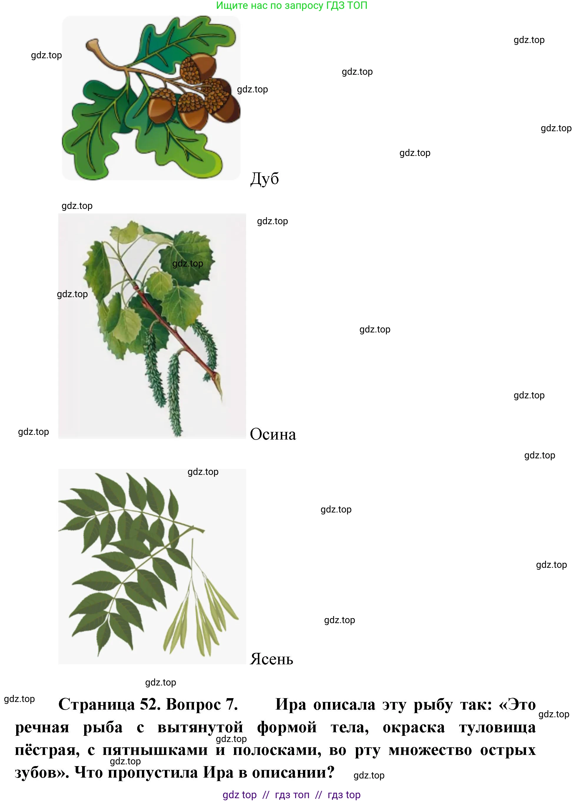 Окружающий мир, 1 класс Учебник, автор: Плешаков Андрей Анатольевич, издательство Просвещение, Москва, 2023, белого цвета, Часть 1, страница 50, Решение 2 (продолжение 7)