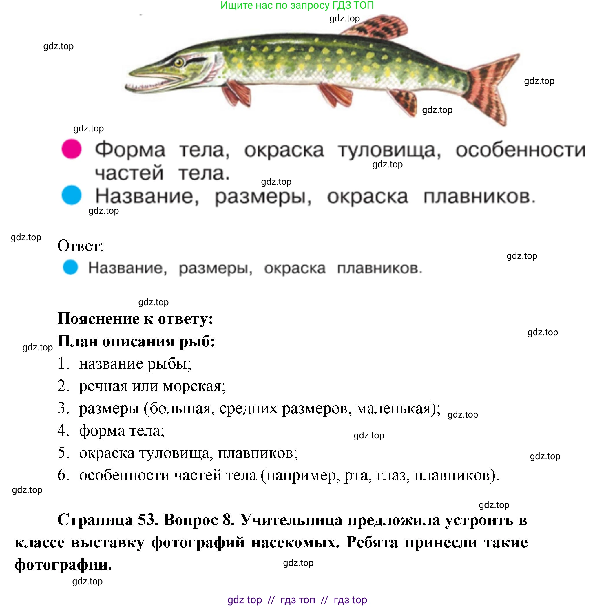 Окружающий мир, 1 класс Учебник, автор: Плешаков Андрей Анатольевич, издательство Просвещение, Москва, 2023, белого цвета, Часть 1, страница 50, Решение 2 (продолжение 8)