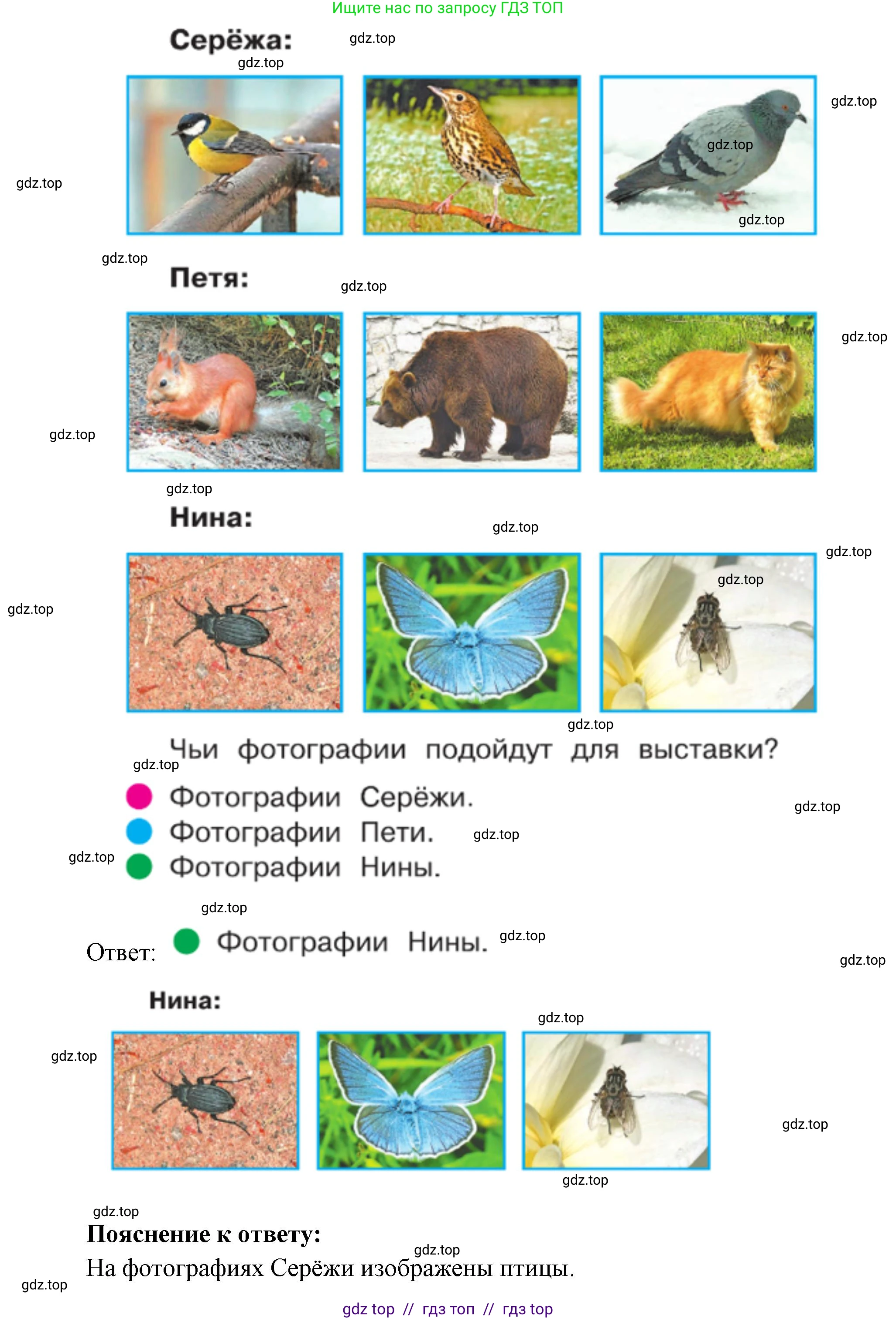Окружающий мир, 1 класс Учебник, автор: Плешаков Андрей Анатольевич, издательство Просвещение, Москва, 2023, белого цвета, Часть 1, страница 50, Решение 2 (продолжение 9)