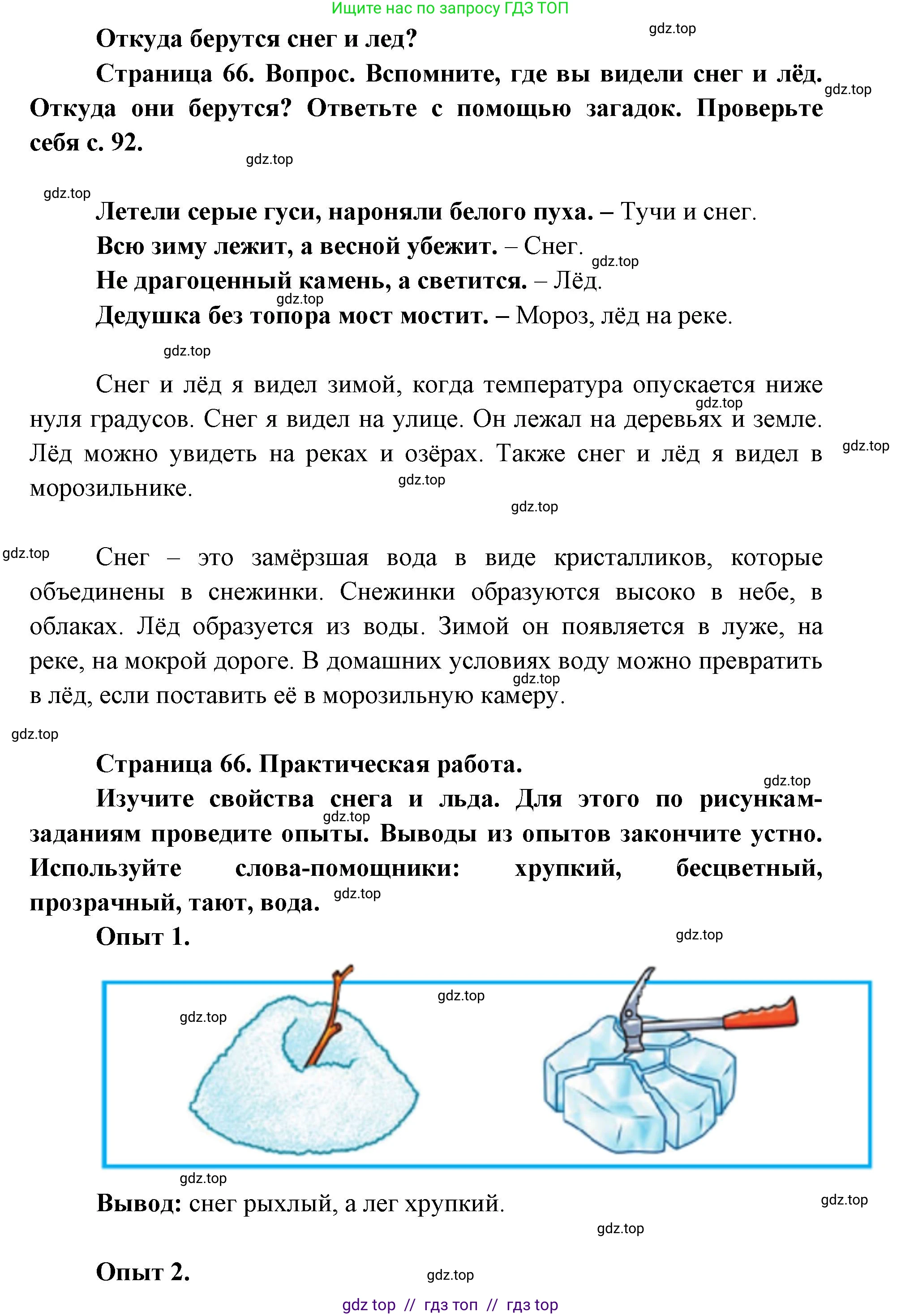 Окружающий мир, 1 класс Учебник, автор: Плешаков Андрей Анатольевич, издательство Просвещение, Москва, 2023, белого цвета, Часть 1, страница 66, Решение 2