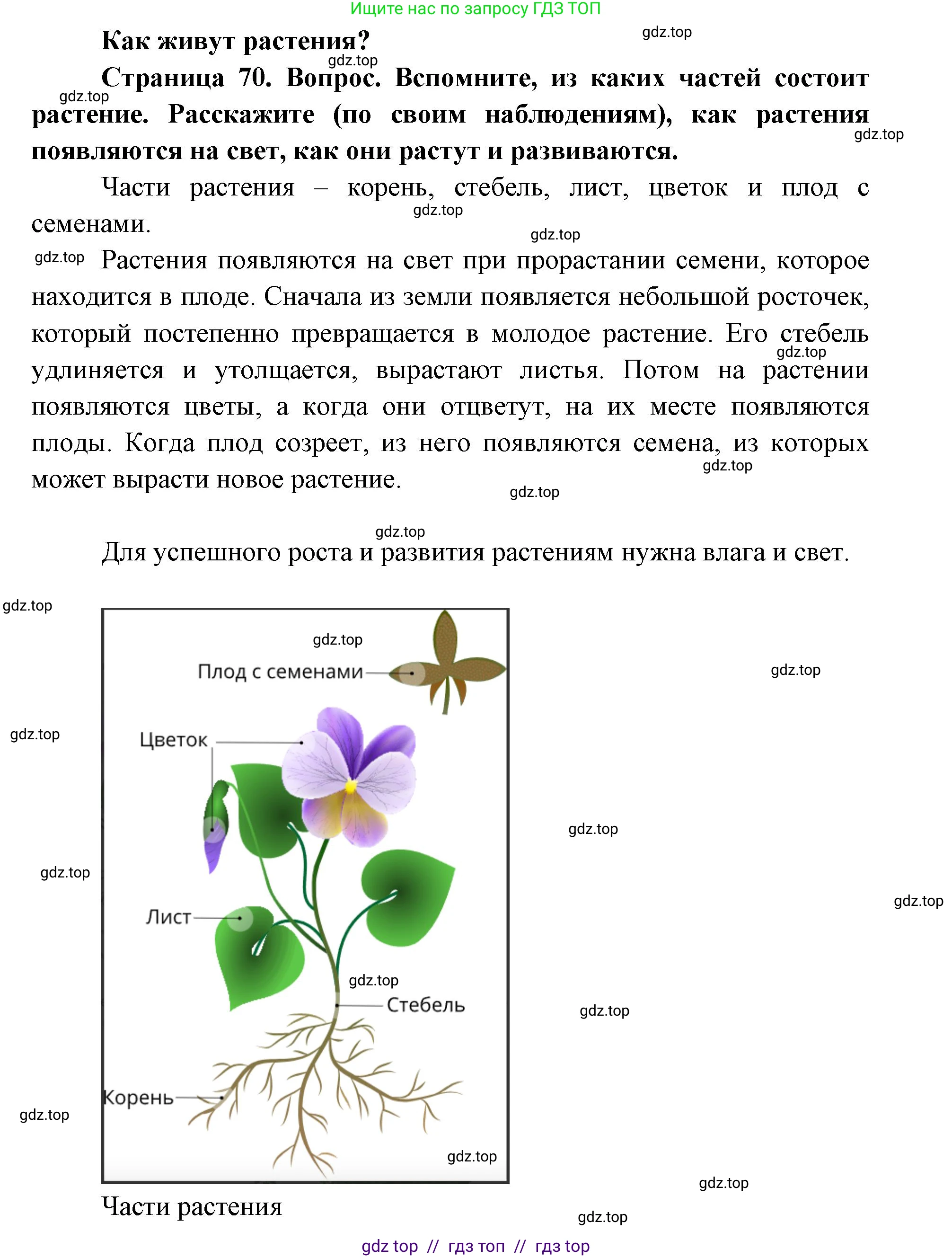 Окружающий мир, 1 класс Учебник, автор: Плешаков Андрей Анатольевич, издательство Просвещение, Москва, 2023, белого цвета, Часть 1, страница 70, Решение 2