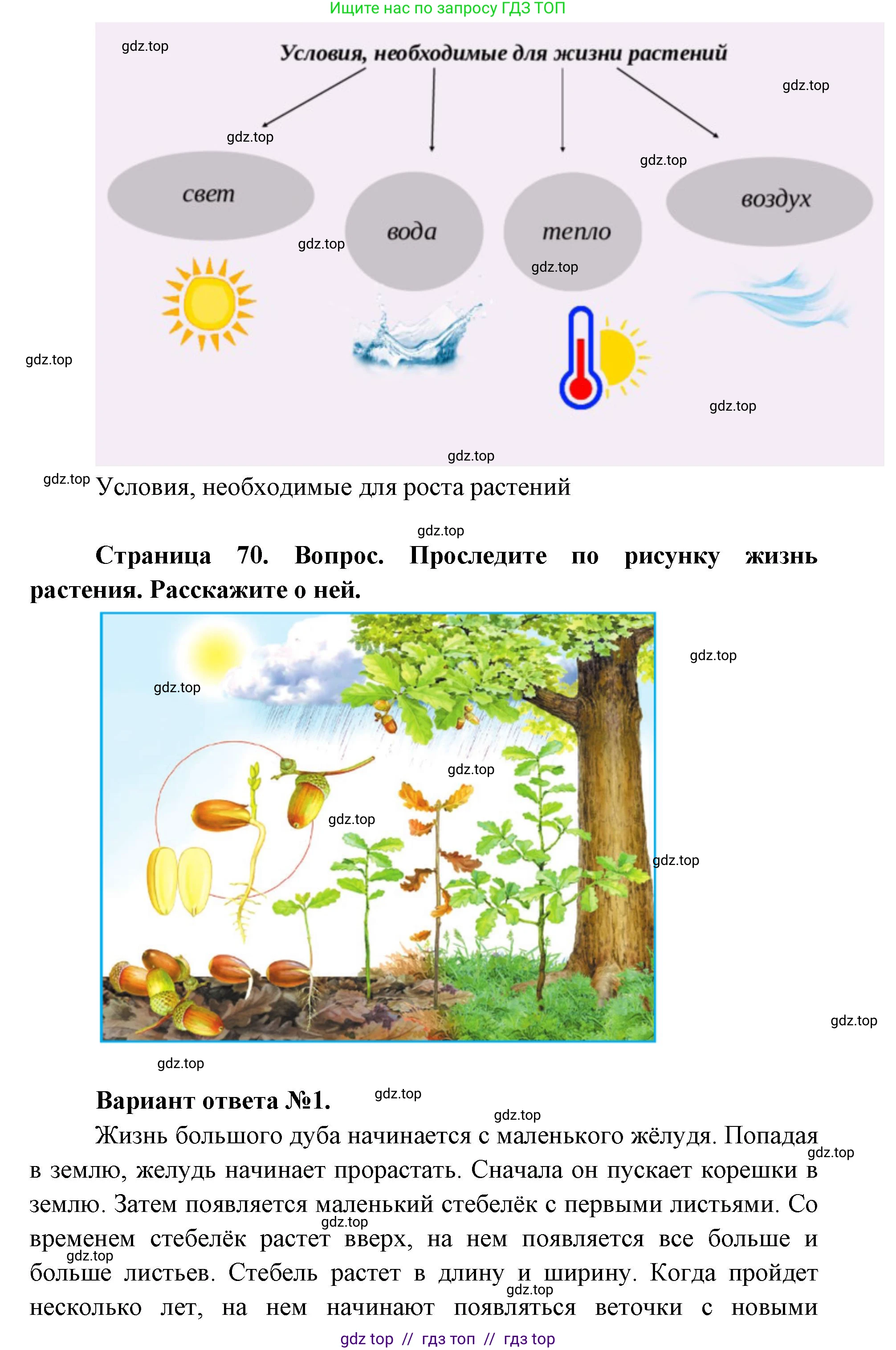 Окружающий мир, 1 класс Учебник, автор: Плешаков Андрей Анатольевич, издательство Просвещение, Москва, 2023, белого цвета, Часть 1, страница 70, Решение 2 (продолжение 2)