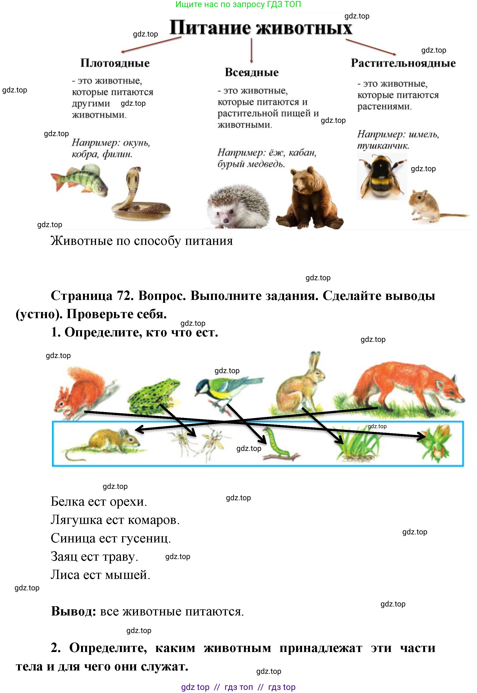 Окружающий мир, 1 класс Учебник, автор: Плешаков Андрей Анатольевич, издательство Просвещение, Москва, 2023, белого цвета, Часть 1, страница 72, Решение 2 (продолжение 2)