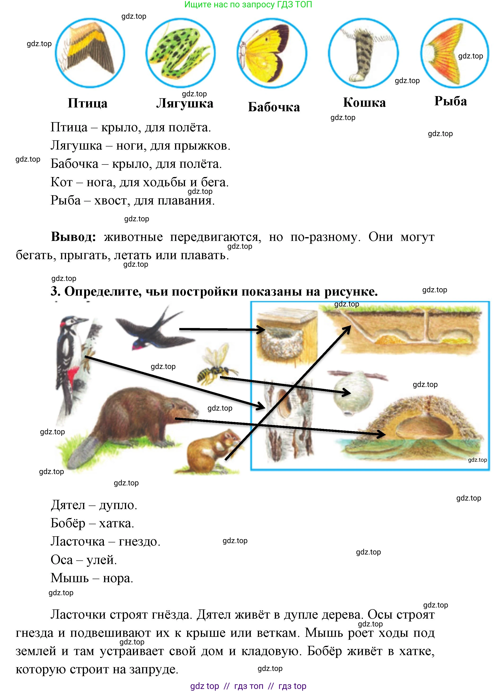 Окружающий мир, 1 класс Учебник, автор: Плешаков Андрей Анатольевич, издательство Просвещение, Москва, 2023, белого цвета, Часть 1, страница 72, Решение 2 (продолжение 3)