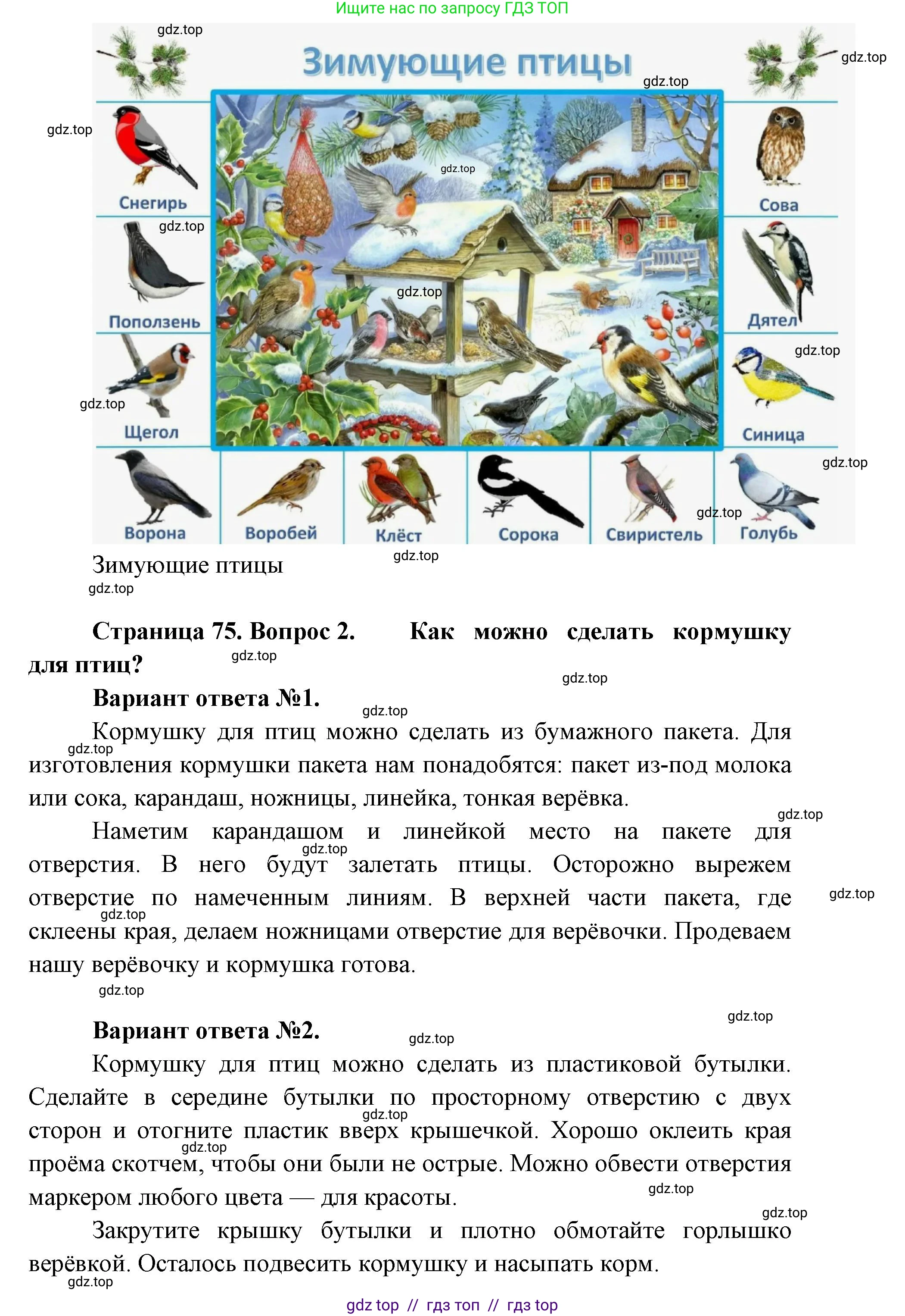 Окружающий мир, 1 класс Учебник, автор: Плешаков Андрей Анатольевич, издательство Просвещение, Москва, 2023, белого цвета, Часть 1, страница 74, Решение 2 (продолжение 4)
