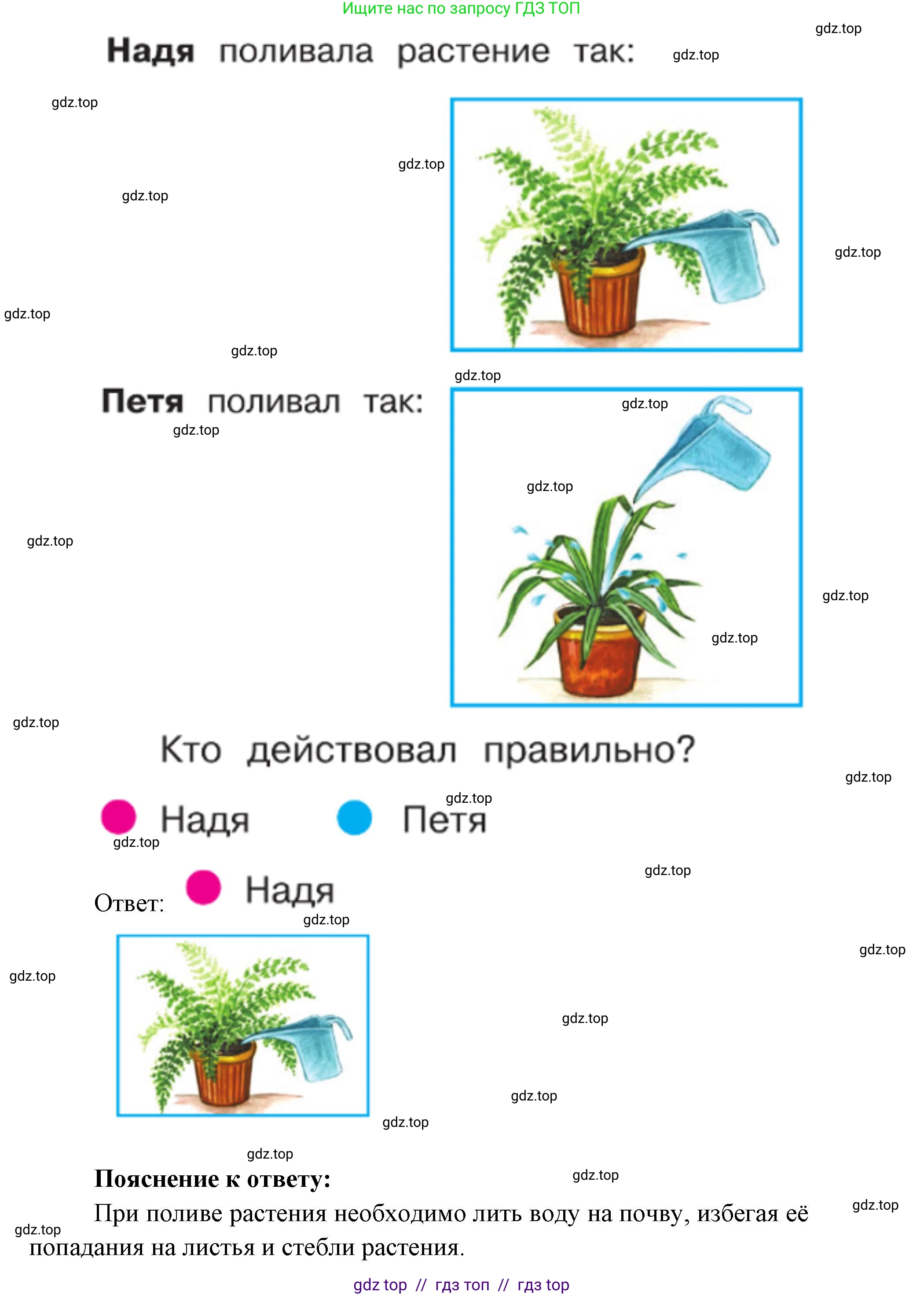 Окружающий мир, 1 класс Учебник, автор: Плешаков Андрей Анатольевич, издательство Просвещение, Москва, 2023, белого цвета, Часть 1, страница 82, Решение 2 (продолжение 5)