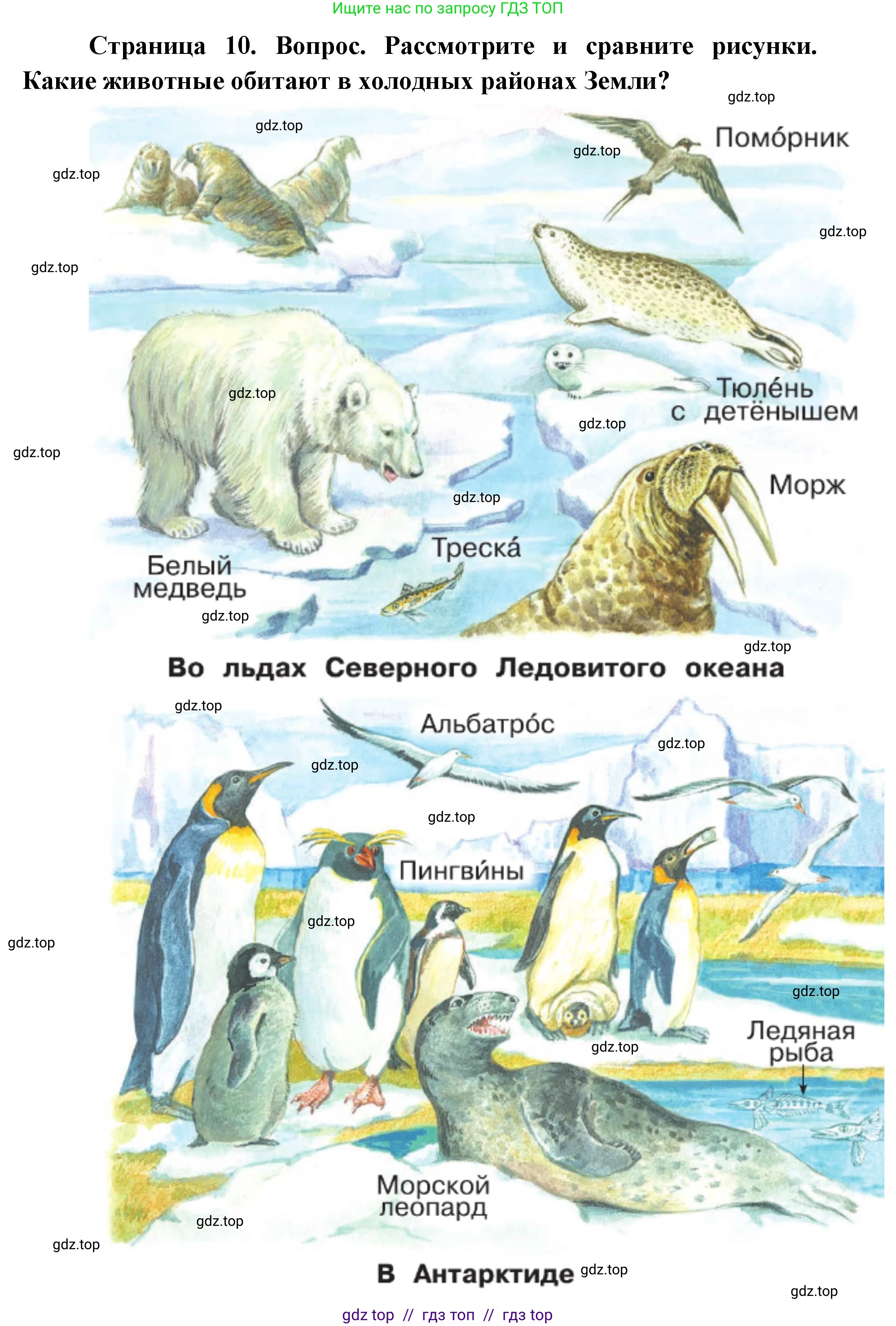 Окружающий мир, 1 класс Учебник, автор: Плешаков Андрей Анатольевич, издательство Просвещение, Москва, 2023, белого цвета, Часть 2, страница 10, Решение 2 (продолжение 2)