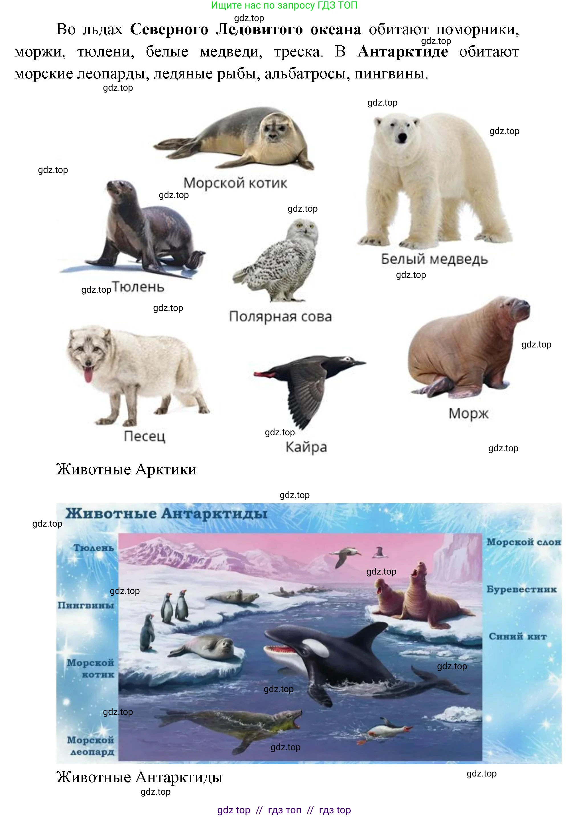 Окружающий мир, 1 класс Учебник, автор: Плешаков Андрей Анатольевич, издательство Просвещение, Москва, 2023, белого цвета, Часть 2, страница 10, Решение 2 (продолжение 6)