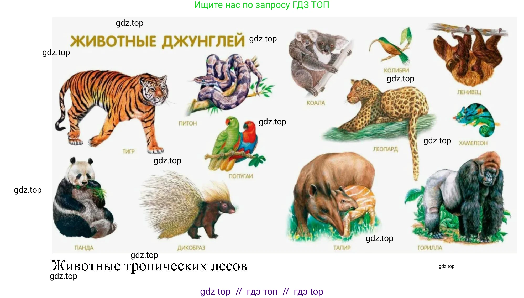 Окружающий мир, 1 класс Учебник, автор: Плешаков Андрей Анатольевич, издательство Просвещение, Москва, 2023, белого цвета, Часть 2, страница 12, Решение 2 (продолжение 10)