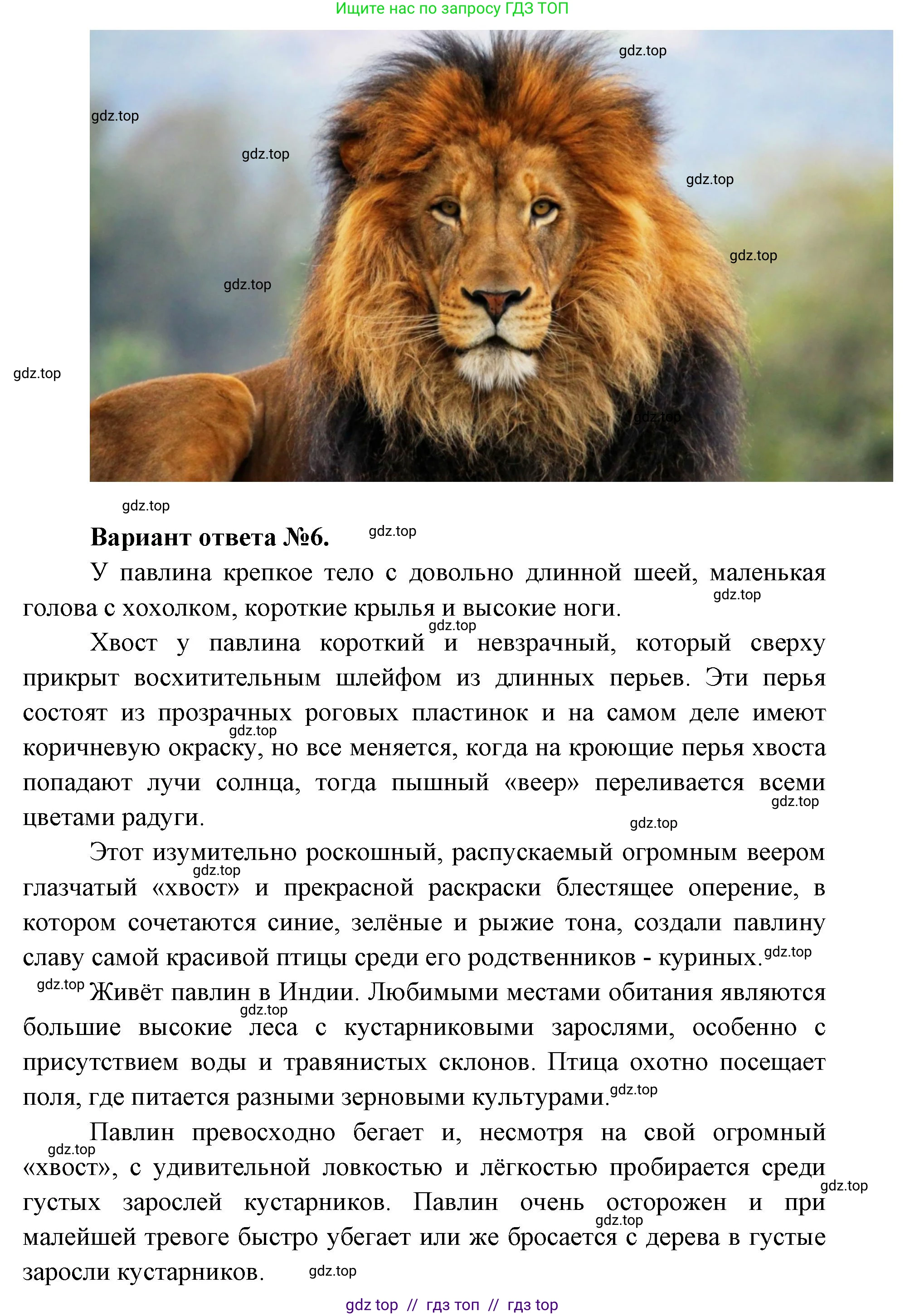 Окружающий мир, 1 класс Учебник, автор: Плешаков Андрей Анатольевич, издательство Просвещение, Москва, 2023, белого цвета, Часть 2, страница 12, Решение 2 (продолжение 7)