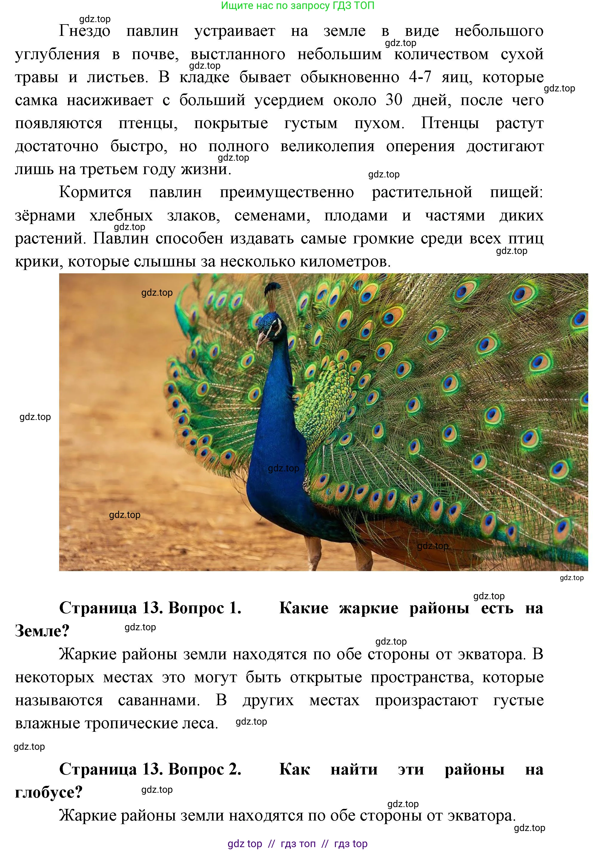 Окружающий мир, 1 класс Учебник, автор: Плешаков Андрей Анатольевич, издательство Просвещение, Москва, 2023, белого цвета, Часть 2, страница 12, Решение 2 (продолжение 8)