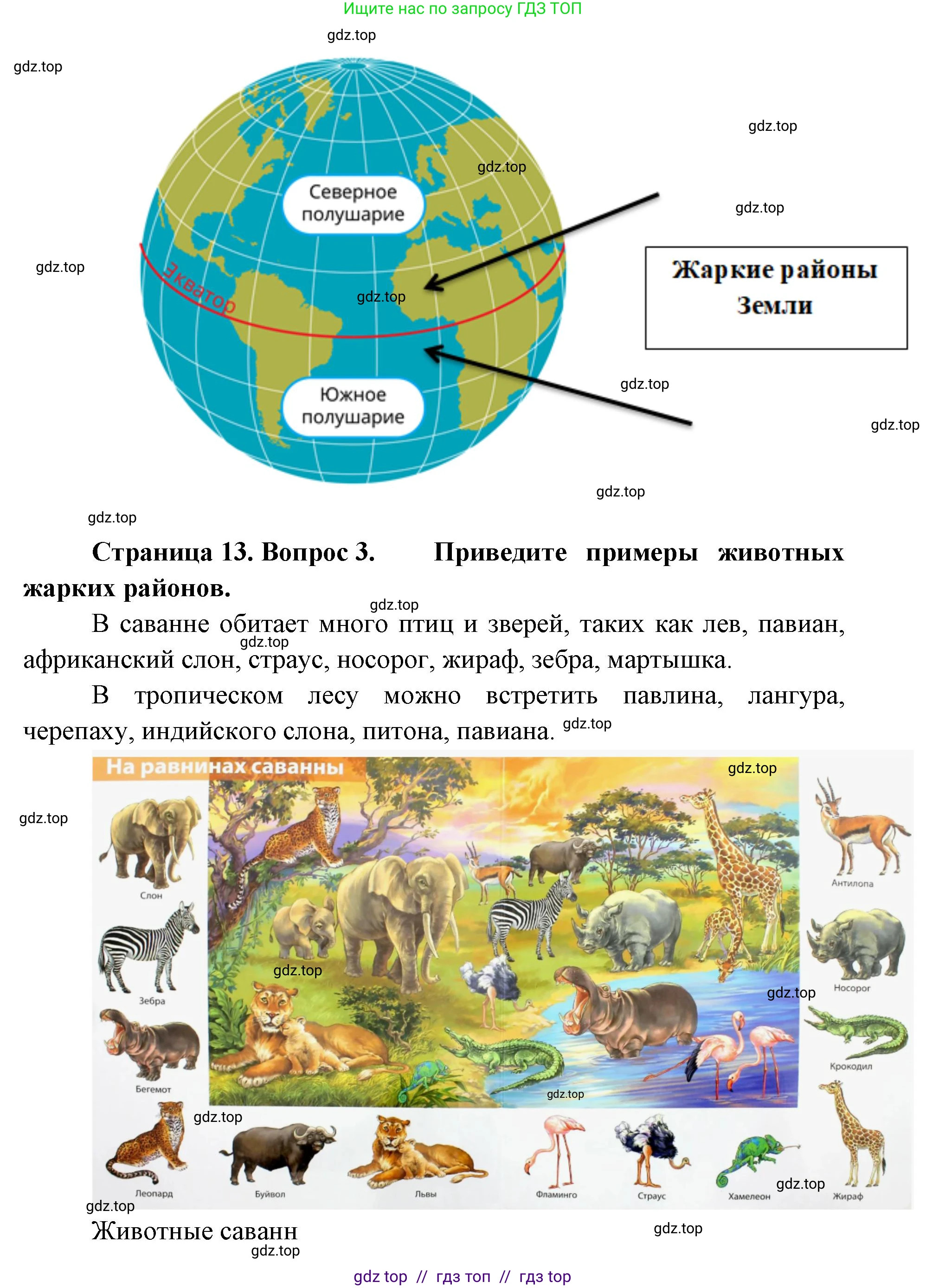 Окружающий мир, 1 класс Учебник, автор: Плешаков Андрей Анатольевич, издательство Просвещение, Москва, 2023, белого цвета, Часть 2, страница 12, Решение 2 (продолжение 9)