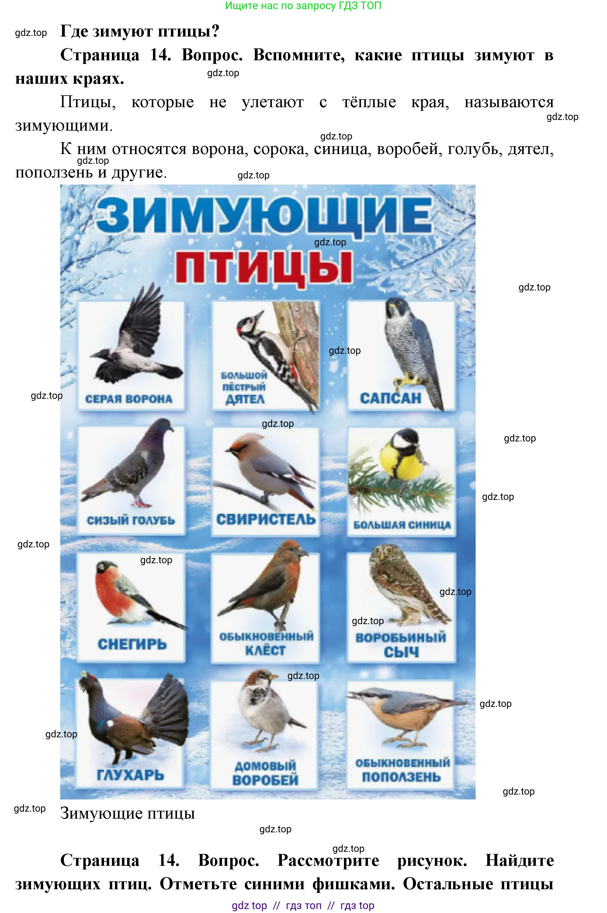 Окружающий мир, 1 класс Учебник, автор: Плешаков Андрей Анатольевич, издательство Просвещение, Москва, 2023, белого цвета, Часть 2, страница 14, Решение 2