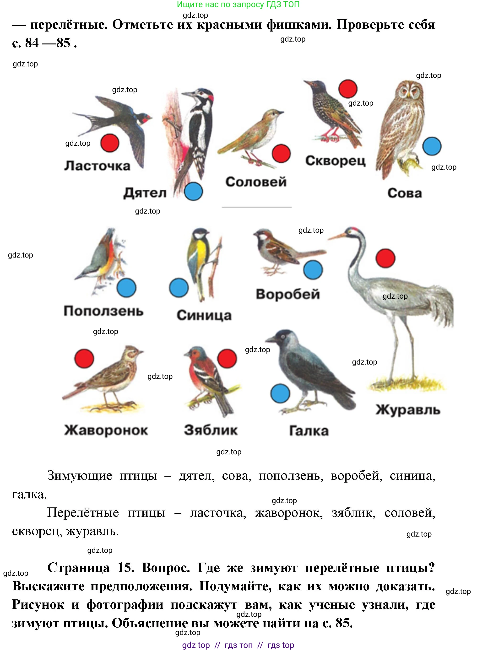 Окружающий мир, 1 класс Учебник, автор: Плешаков Андрей Анатольевич, издательство Просвещение, Москва, 2023, белого цвета, Часть 2, страница 14, Решение 2 (продолжение 2)