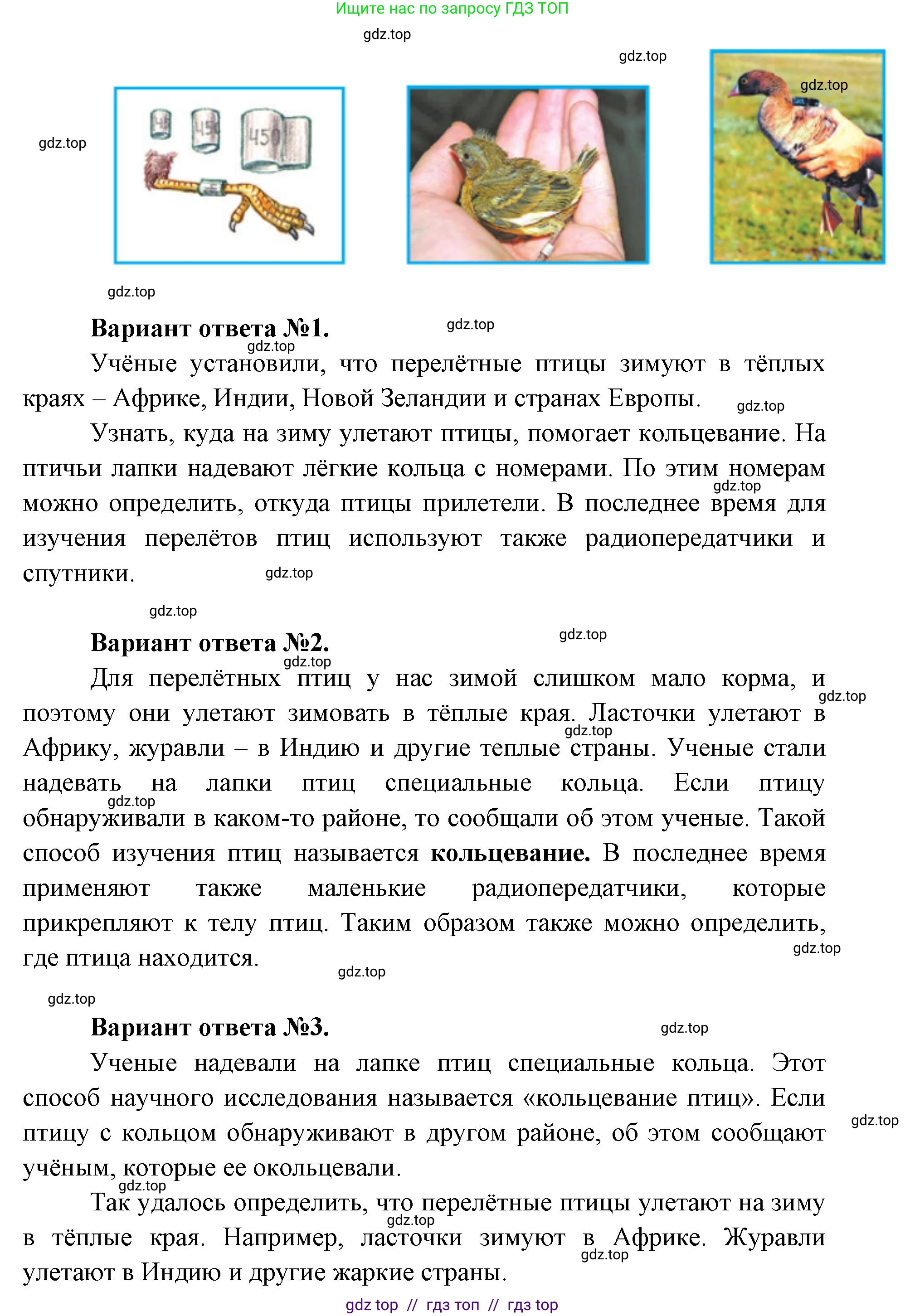 Окружающий мир, 1 класс Учебник, автор: Плешаков Андрей Анатольевич, издательство Просвещение, Москва, 2023, белого цвета, Часть 2, страница 14, Решение 2 (продолжение 3)