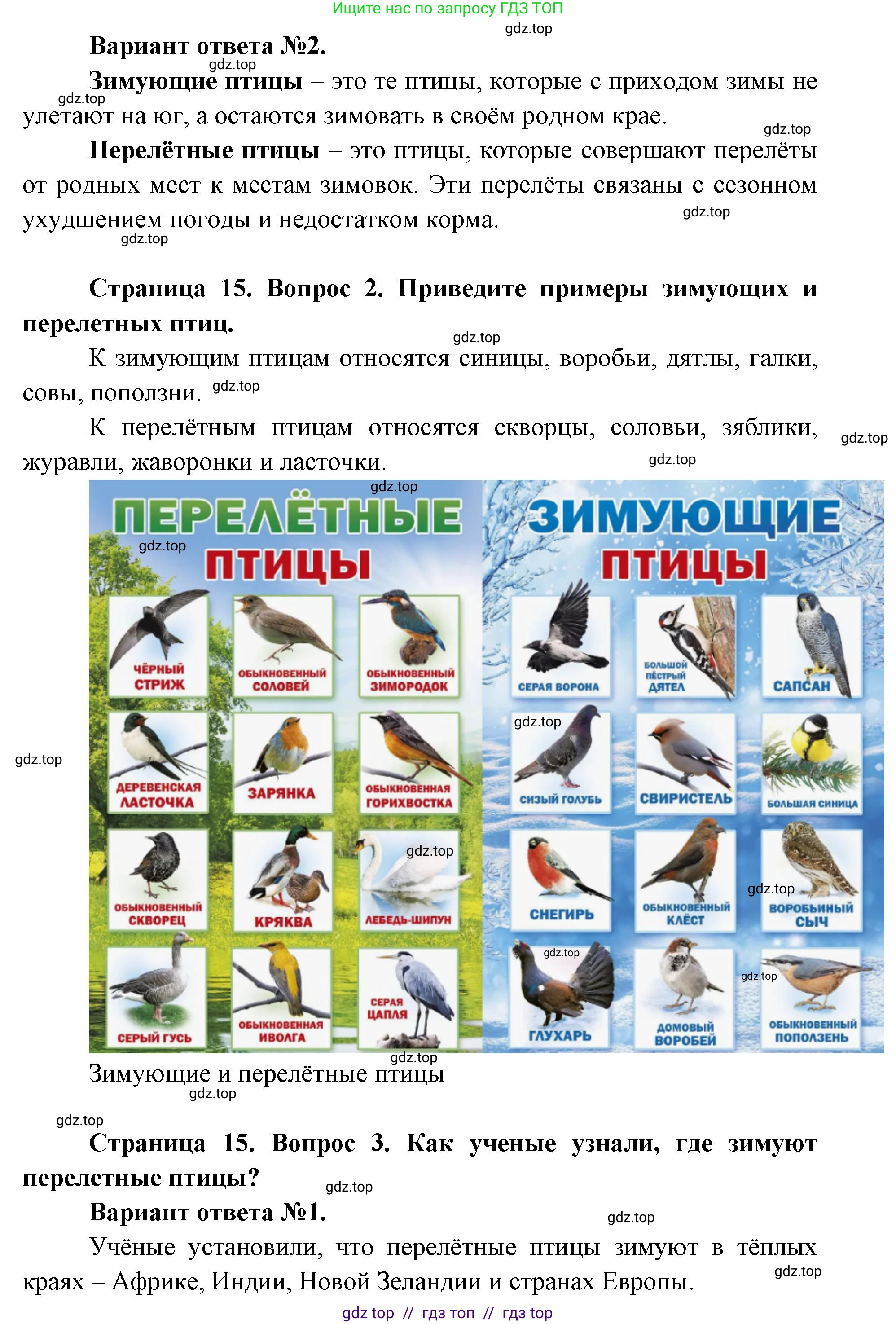 Окружающий мир, 1 класс Учебник, автор: Плешаков Андрей Анатольевич, издательство Просвещение, Москва, 2023, белого цвета, Часть 2, страница 14, Решение 2 (продолжение 5)
