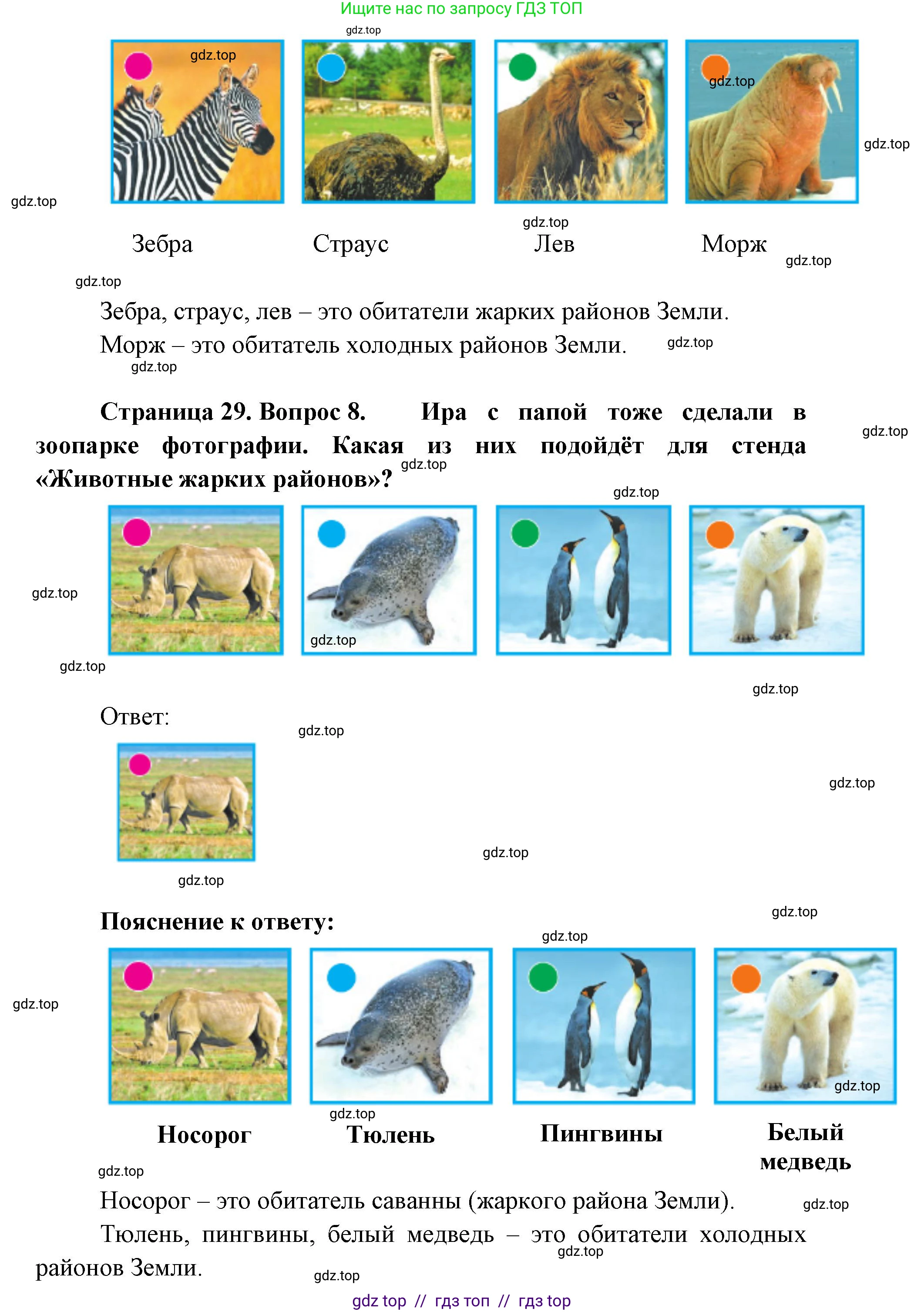 Окружающий мир, 1 класс Учебник, автор: Плешаков Андрей Анатольевич, издательство Просвещение, Москва, 2023, белого цвета, Часть 2, страница 26, Решение 2 (продолжение 7)
