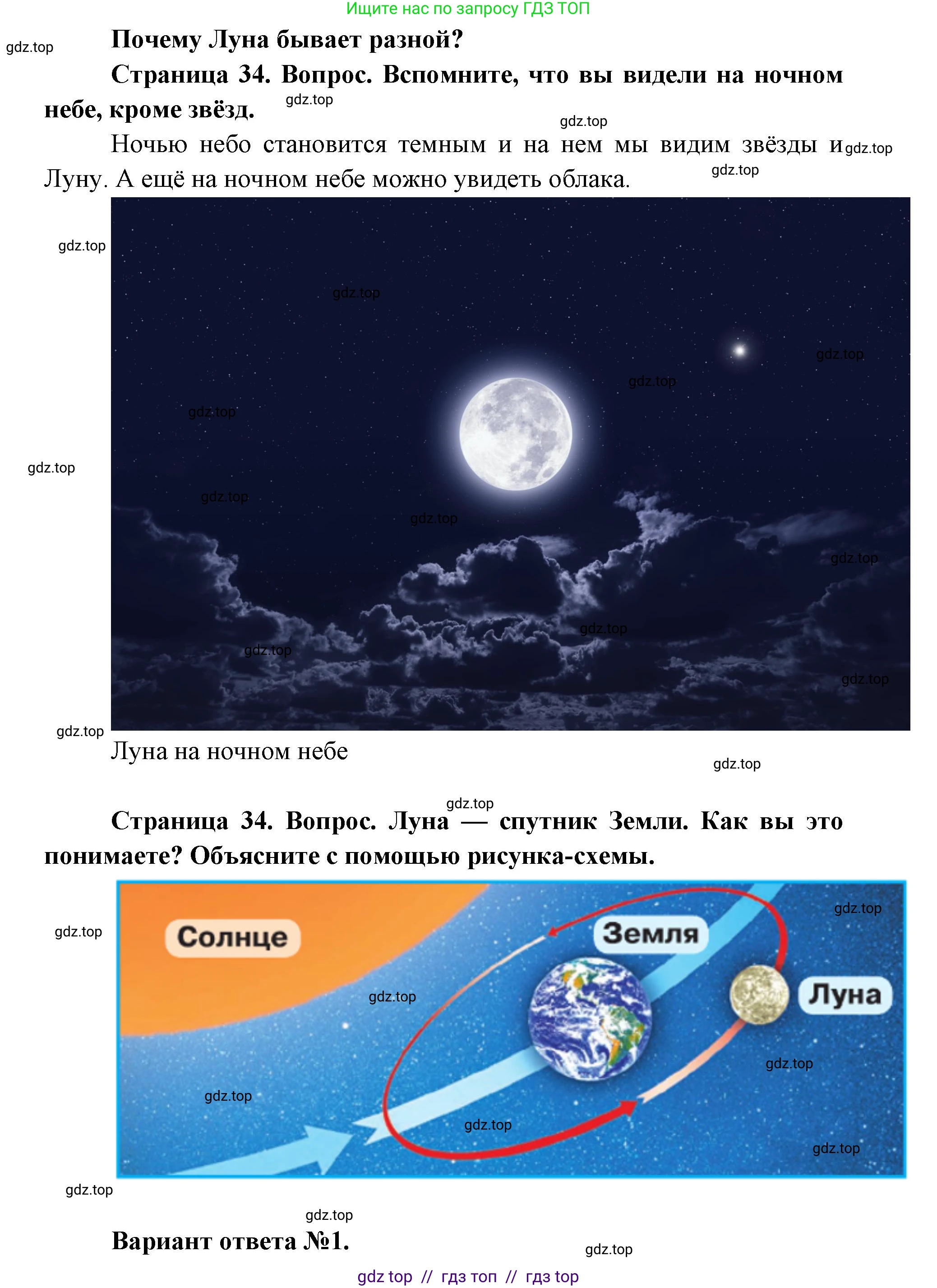 Окружающий мир, 1 класс Учебник, автор: Плешаков Андрей Анатольевич, издательство Просвещение, Москва, 2023, белого цвета, Часть 2, страница 34, Решение 2