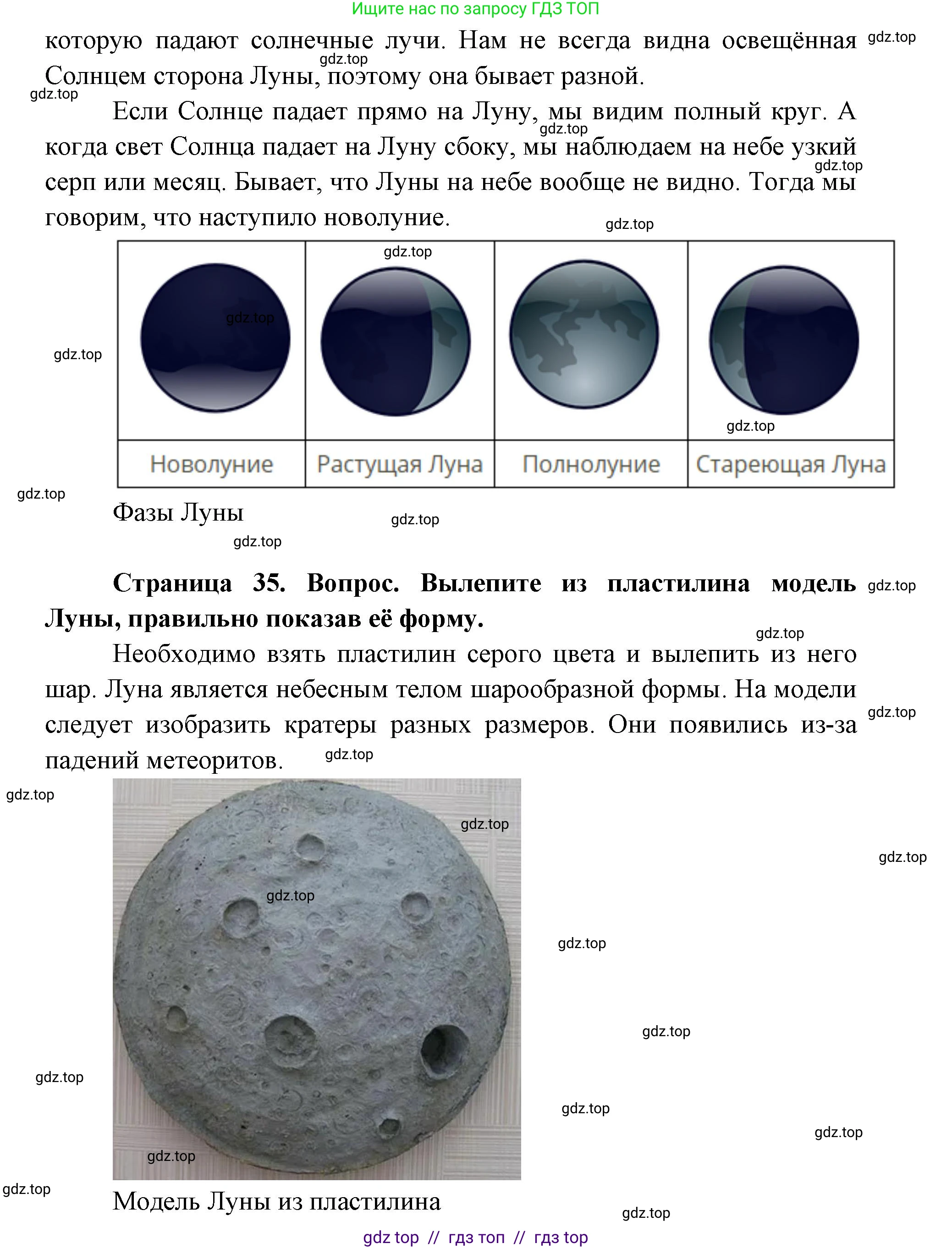 Окружающий мир, 1 класс Учебник, автор: Плешаков Андрей Анатольевич, издательство Просвещение, Москва, 2023, белого цвета, Часть 2, страница 34, Решение 2 (продолжение 3)