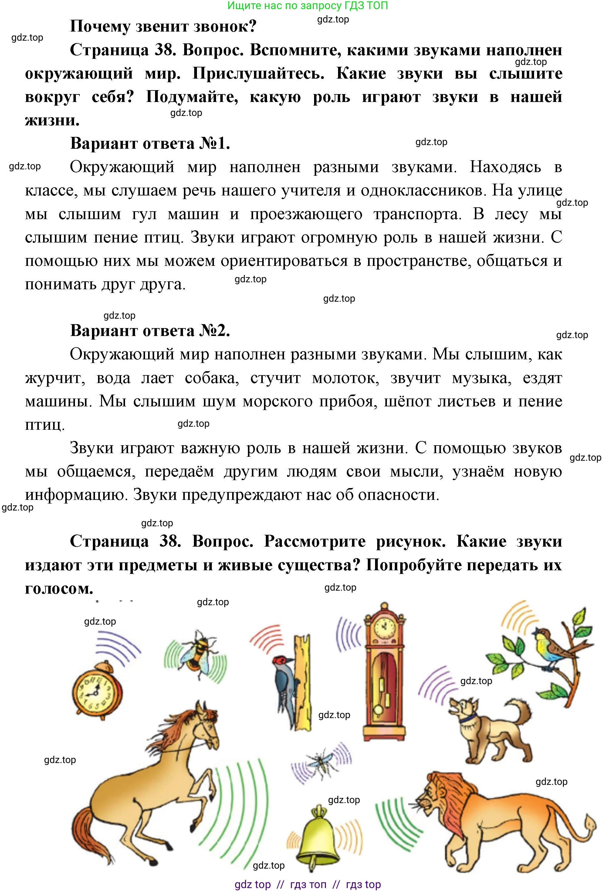 Окружающий мир, 1 класс Учебник, автор: Плешаков Андрей Анатольевич, издательство Просвещение, Москва, 2023, белого цвета, Часть 2, страница 38, Решение 2