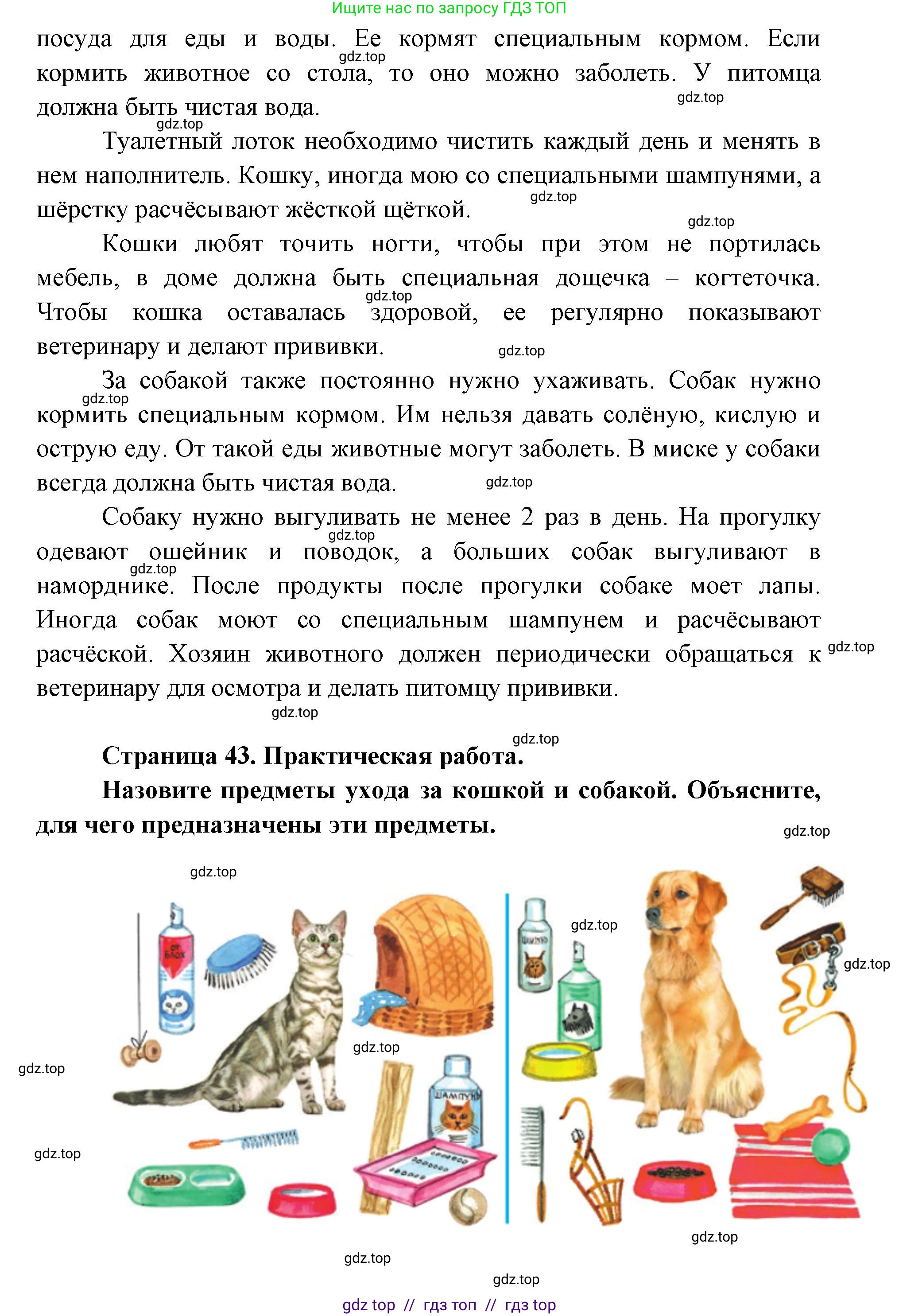 Окружающий мир, 1 класс Учебник, автор: Плешаков Андрей Анатольевич, издательство Просвещение, Москва, 2023, белого цвета, Часть 2, страница 42, Решение 2 (продолжение 3)