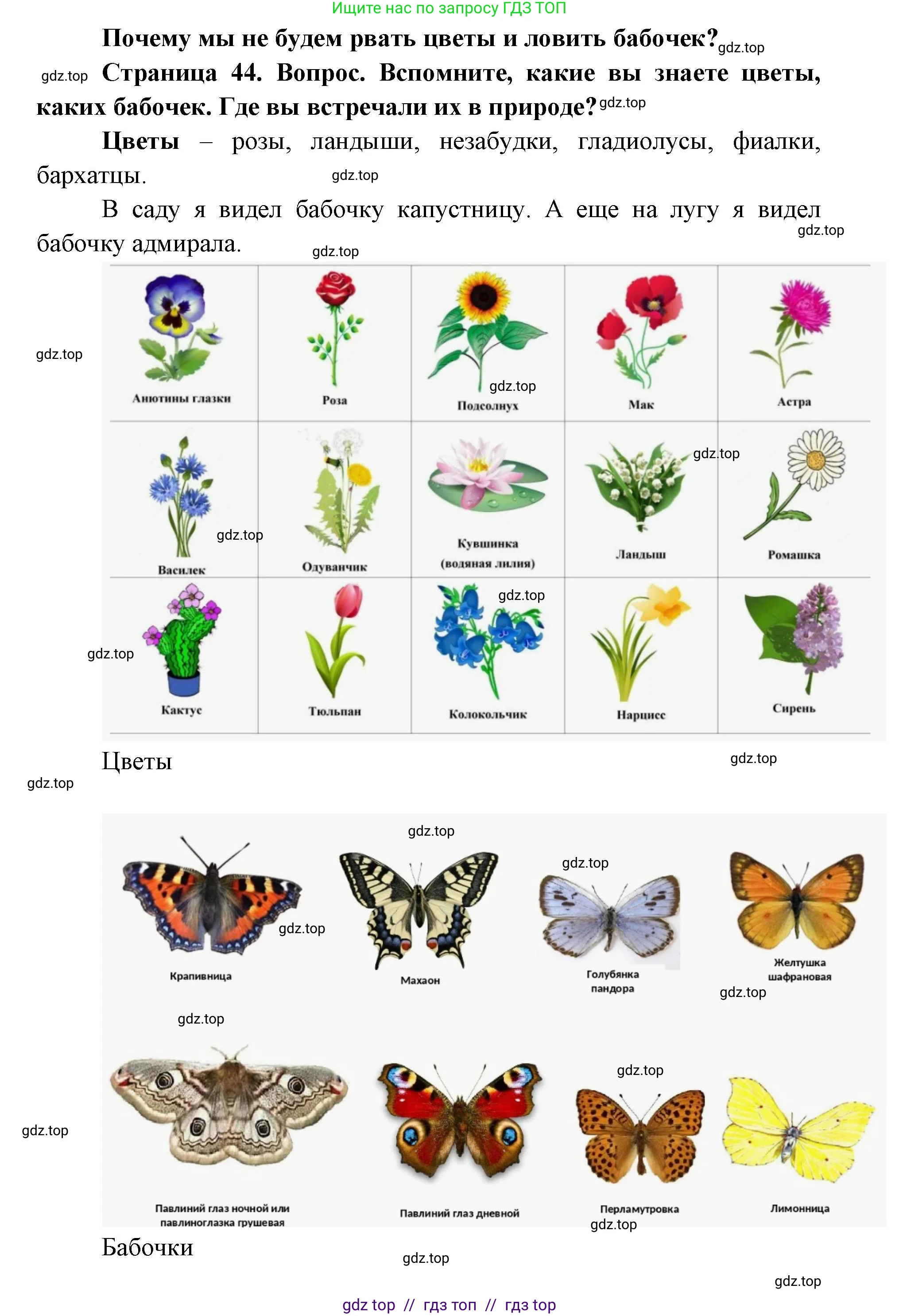 Окружающий мир, 1 класс Учебник, автор: Плешаков Андрей Анатольевич, издательство Просвещение, Москва, 2023, белого цвета, Часть 2, страница 44, Решение 2