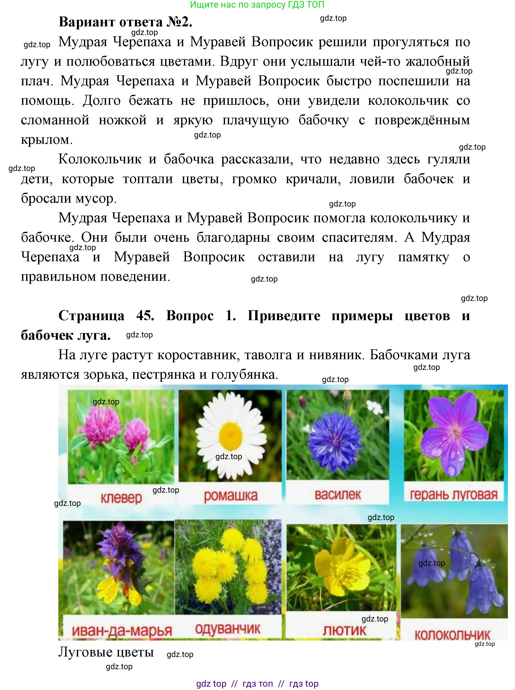 Окружающий мир, 1 класс Учебник, автор: Плешаков Андрей Анатольевич, издательство Просвещение, Москва, 2023, белого цвета, Часть 2, страница 44, Решение 2 (продолжение 4)