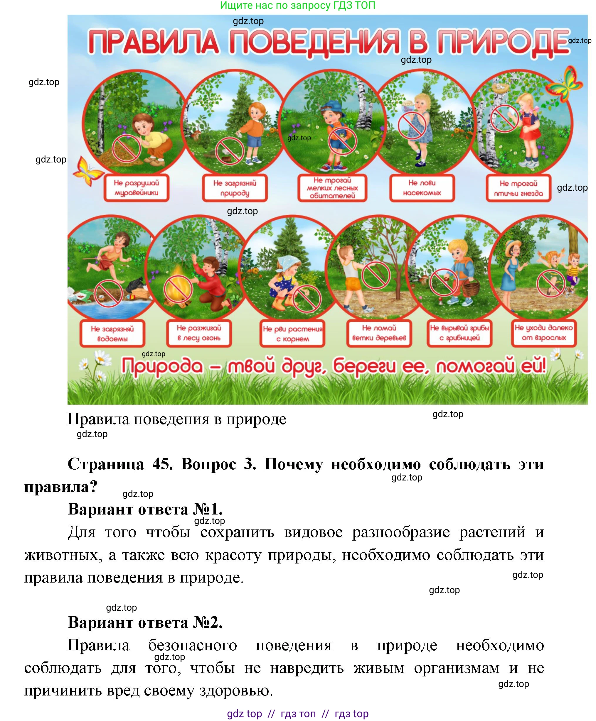 Окружающий мир, 1 класс Учебник, автор: Плешаков Андрей Анатольевич, издательство Просвещение, Москва, 2023, белого цвета, Часть 2, страница 44, Решение 2 (продолжение 6)
