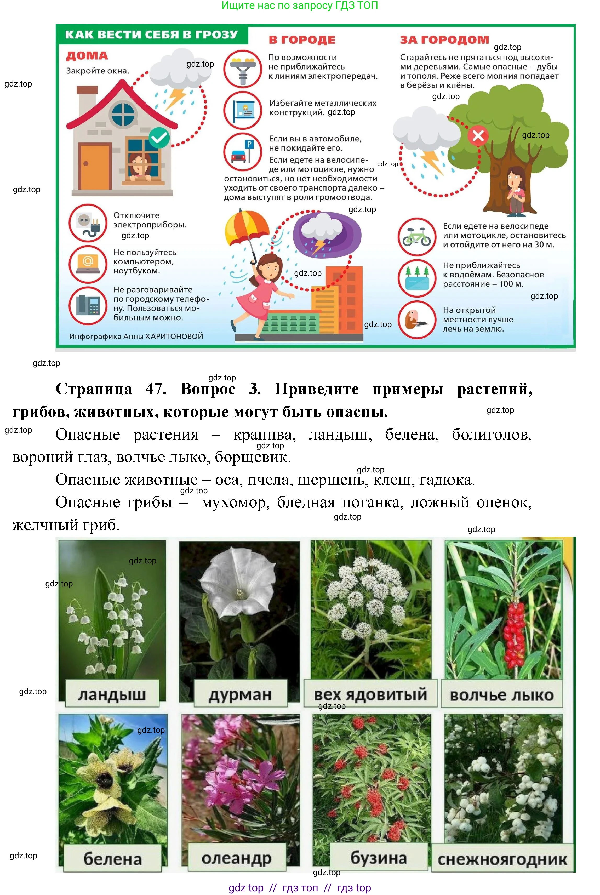 Окружающий мир, 1 класс Учебник, автор: Плешаков Андрей Анатольевич, издательство Просвещение, Москва, 2023, белого цвета, Часть 2, страница 46, Решение 2 (продолжение 5)