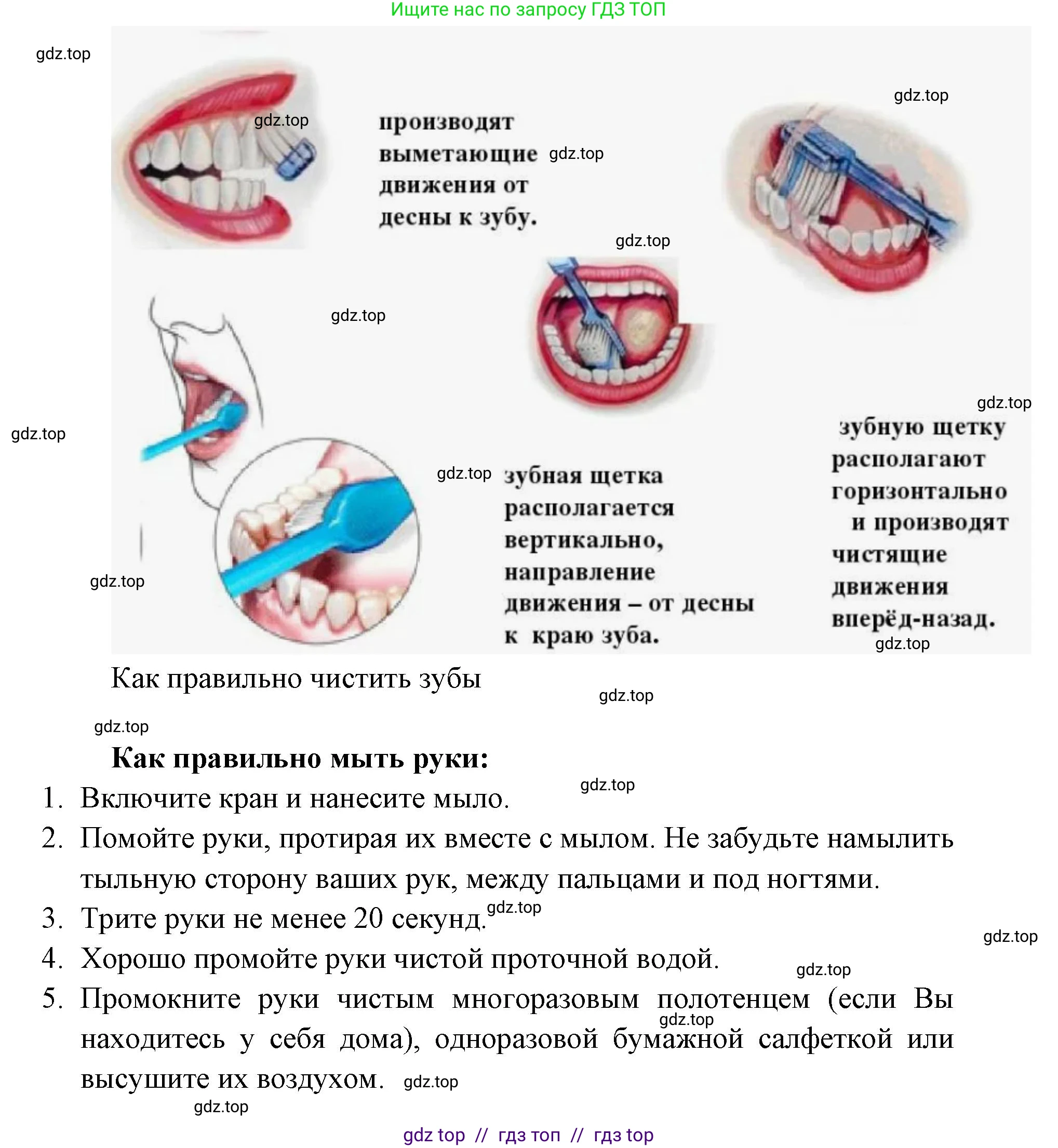 Окружающий мир, 1 класс Учебник, автор: Плешаков Андрей Анатольевич, издательство Просвещение, Москва, 2023, белого цвета, Часть 2, страница 54, Решение 2 (продолжение 2)