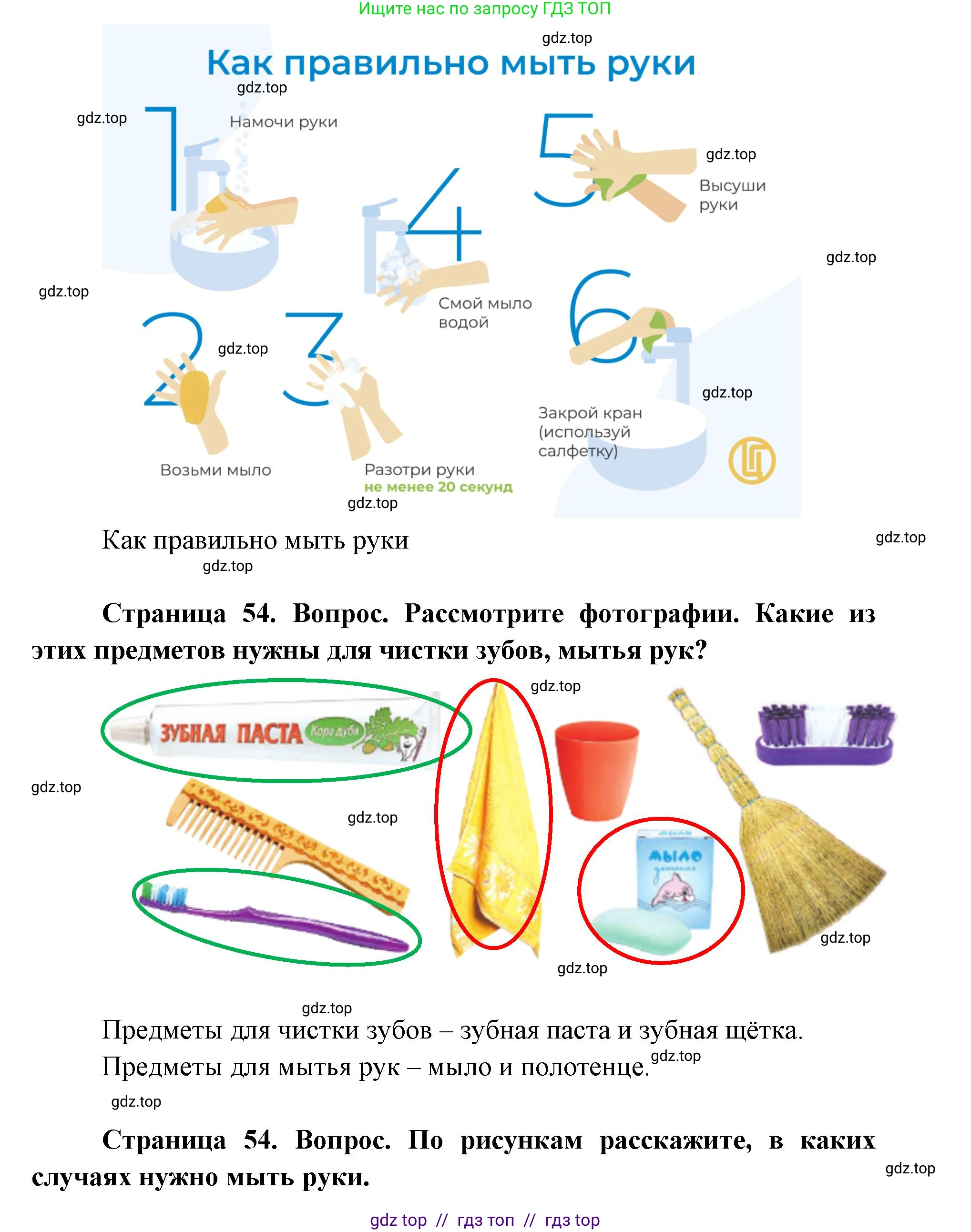 Окружающий мир, 1 класс Учебник, автор: Плешаков Андрей Анатольевич, издательство Просвещение, Москва, 2023, белого цвета, Часть 2, страница 54, Решение 2 (продолжение 3)