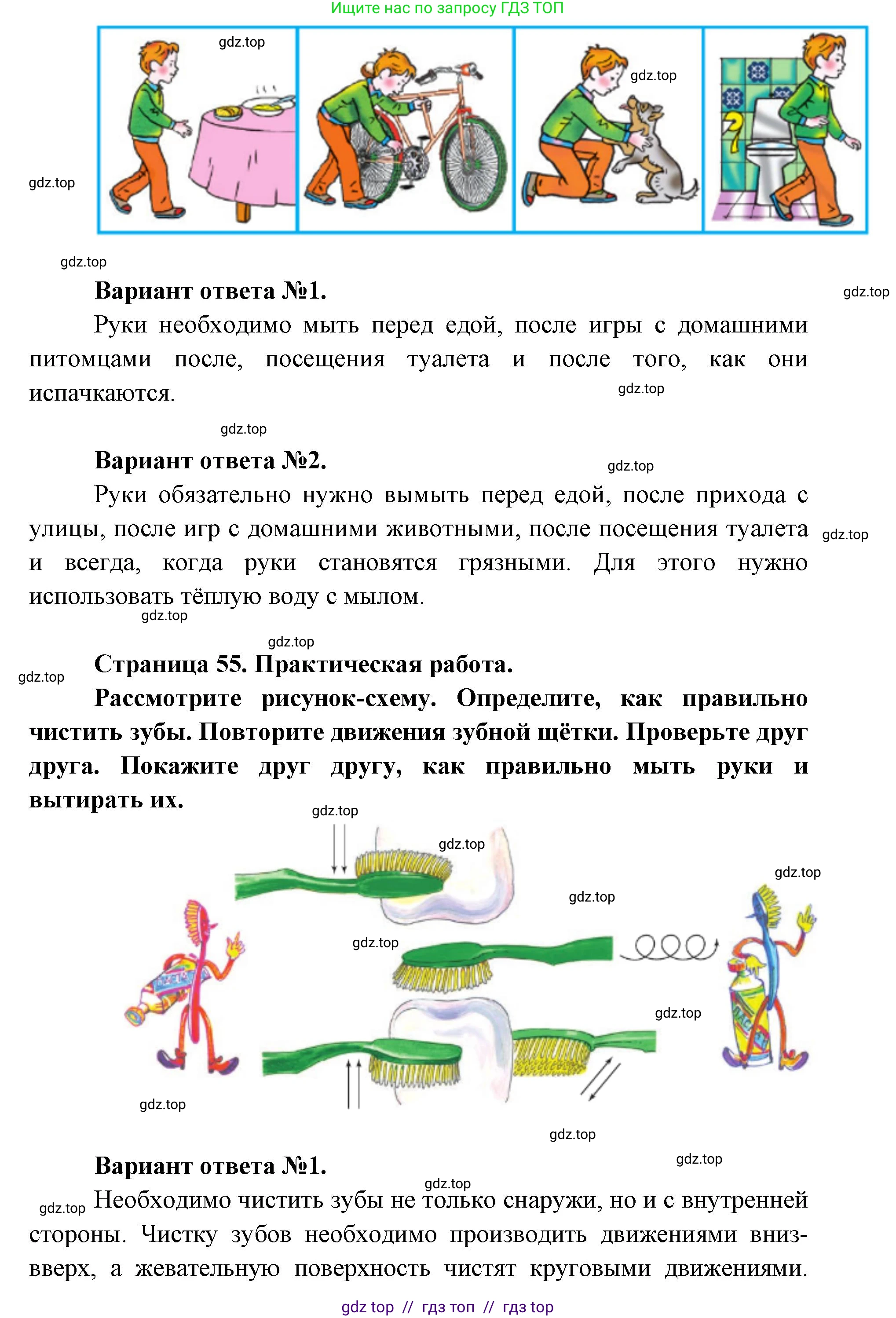 Окружающий мир, 1 класс Учебник, автор: Плешаков Андрей Анатольевич, издательство Просвещение, Москва, 2023, белого цвета, Часть 2, страница 54, Решение 2 (продолжение 4)