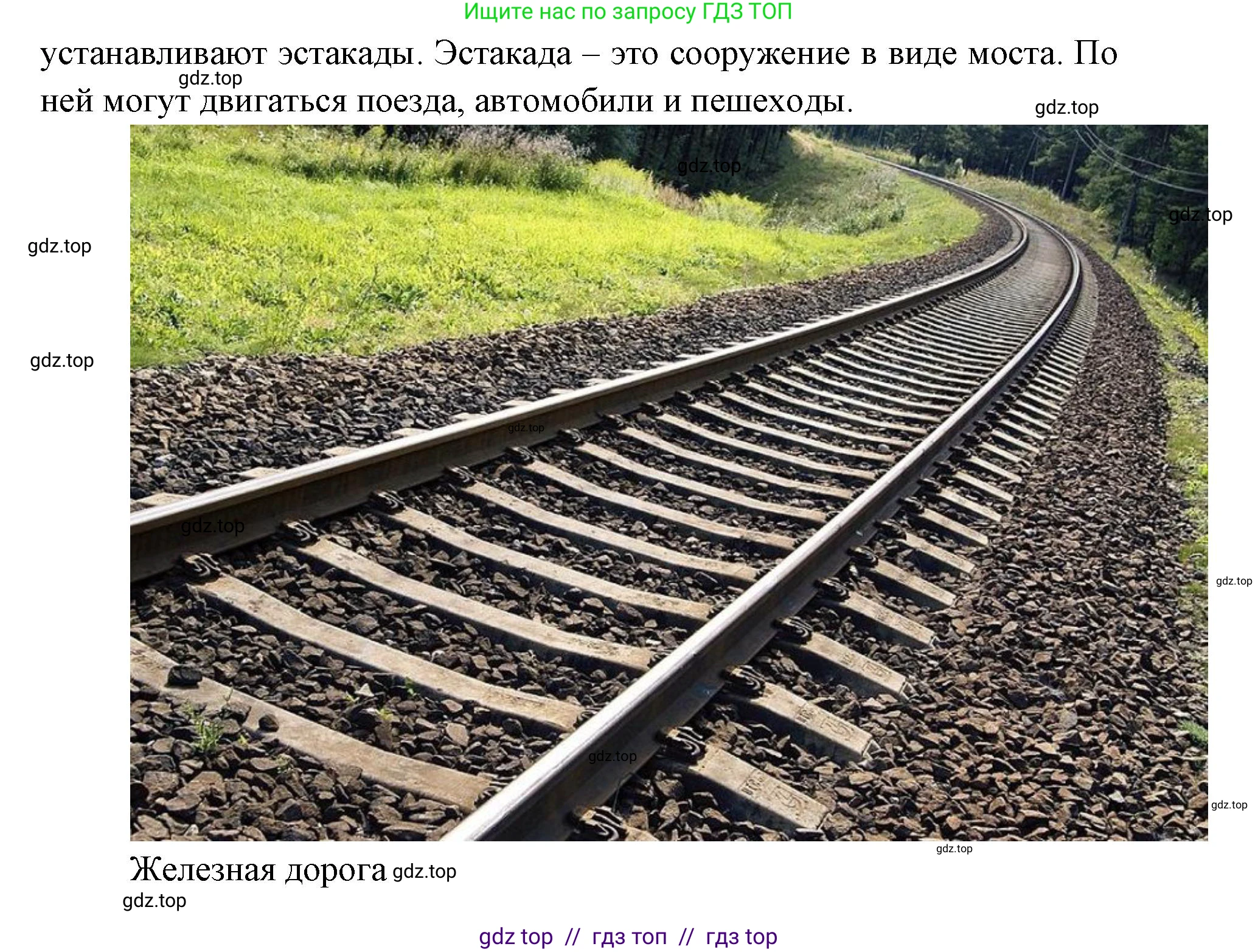 Окружающий мир, 1 класс Учебник, автор: Плешаков Андрей Анатольевич, издательство Просвещение, Москва, 2023, белого цвета, Часть 2, страница 58, Решение 2 (продолжение 6)