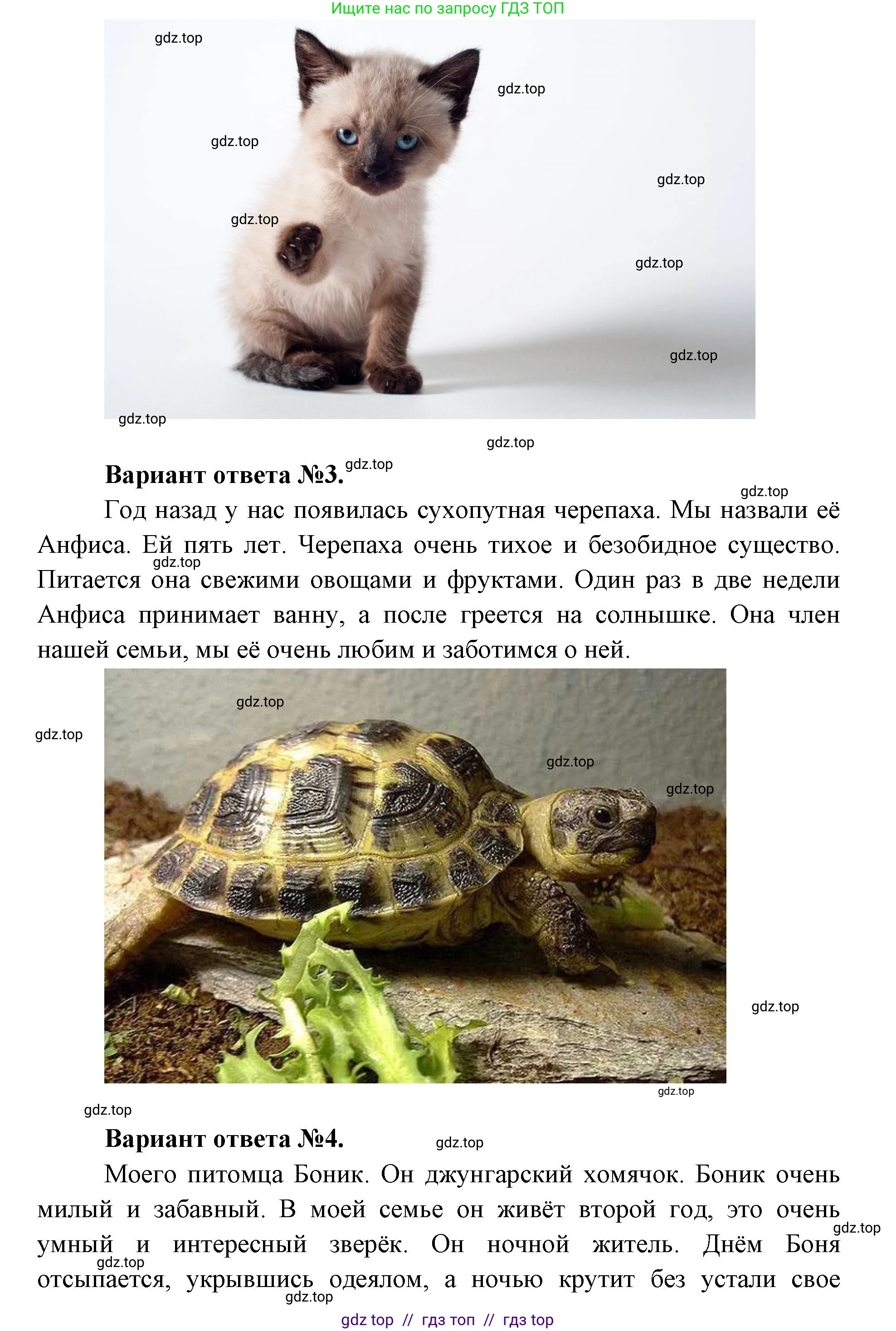 Окружающий мир, 1 класс Учебник, автор: Плешаков Андрей Анатольевич, издательство Просвещение, Москва, 2023, белого цвета, Часть 2, страница 72, Решение 2 (продолжение 3)