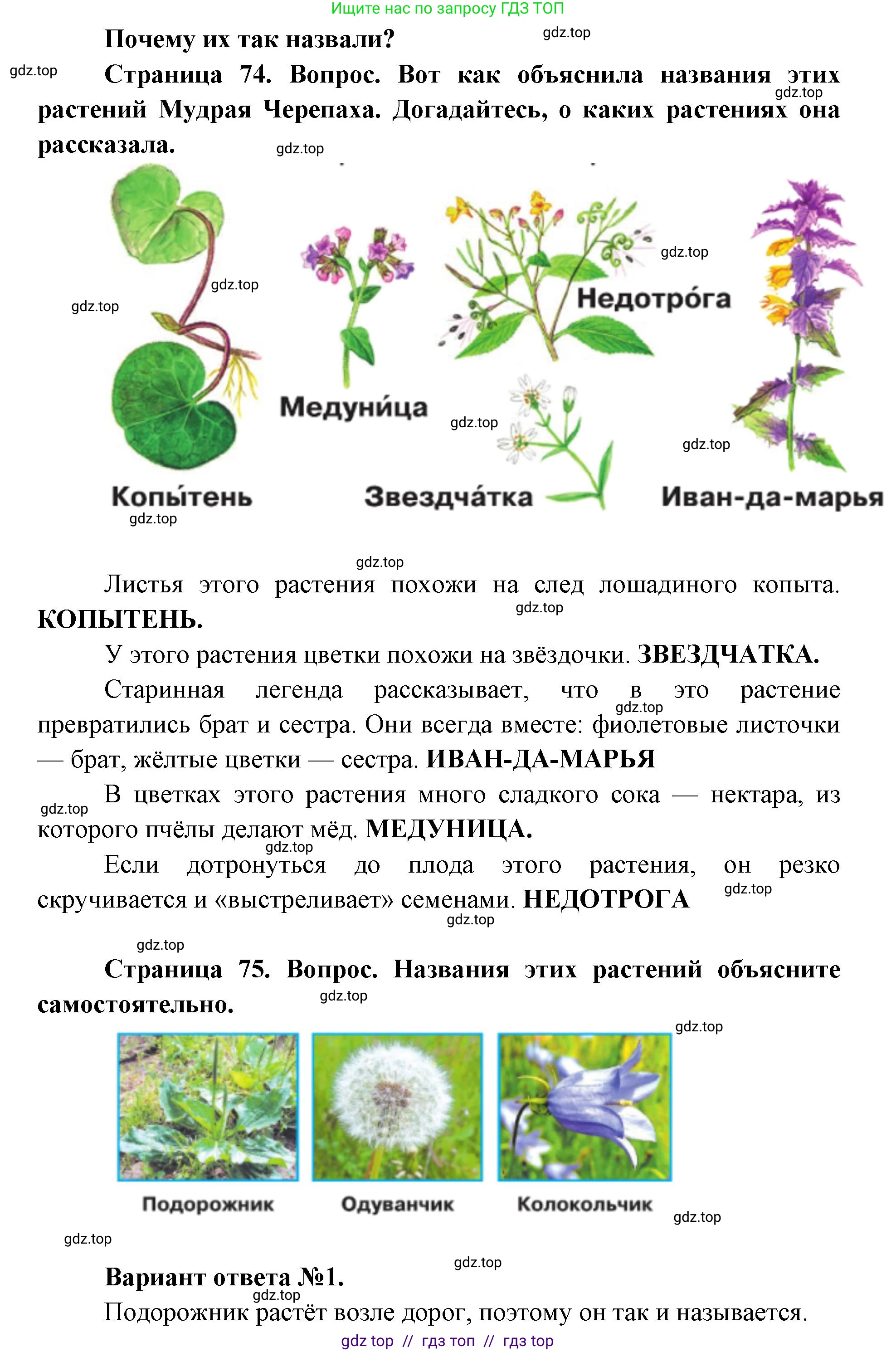 Окружающий мир, 1 класс Учебник, автор: Плешаков Андрей Анатольевич, издательство Просвещение, Москва, 2023, белого цвета, Часть 2, страница 74, Решение 2