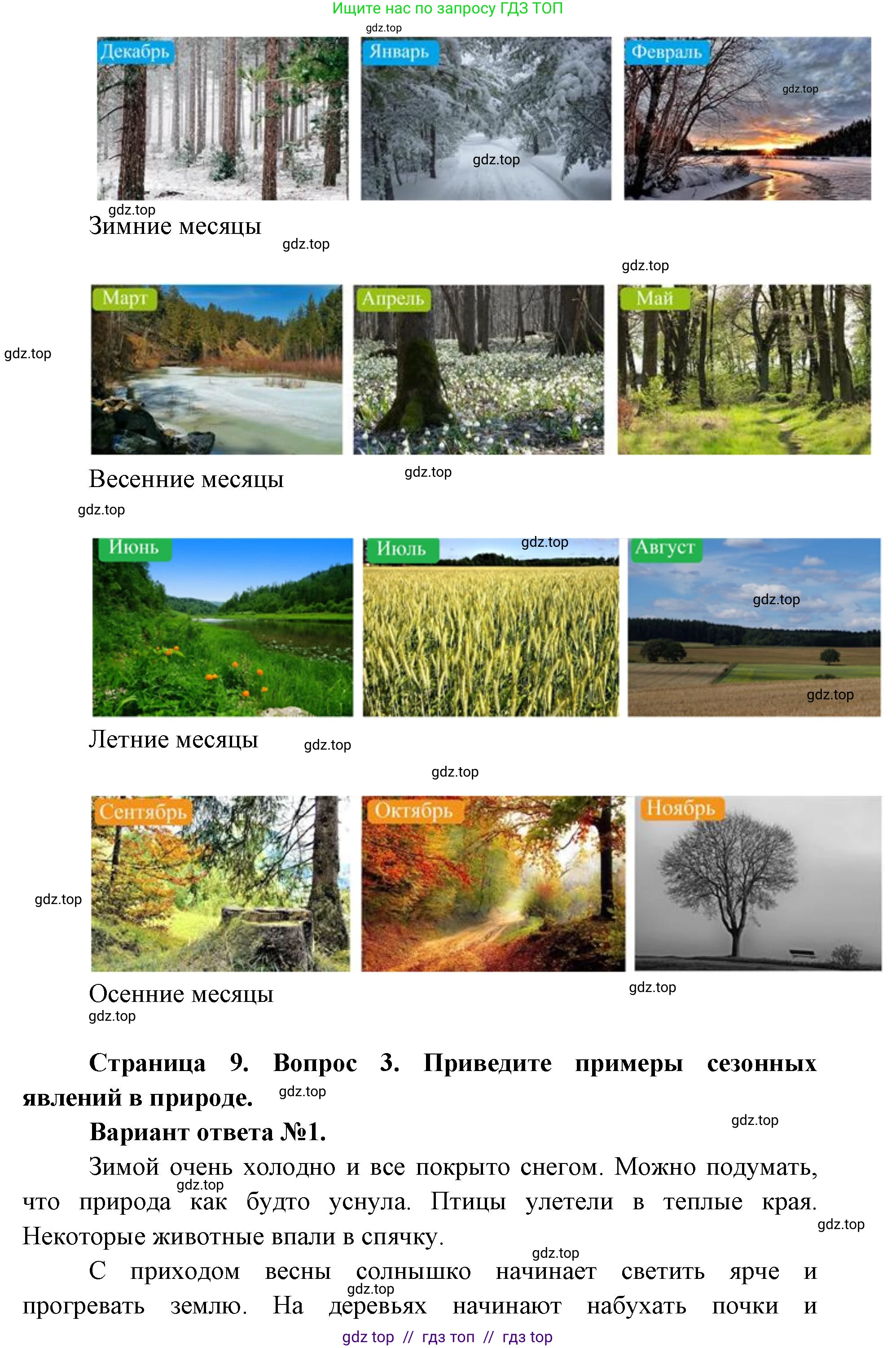 Окружающий мир, 1 класс Учебник, автор: Плешаков Андрей Анатольевич, издательство Просвещение, Москва, 2023, белого цвета, Часть 2, страница 8, Решение 2 (продолжение 7)