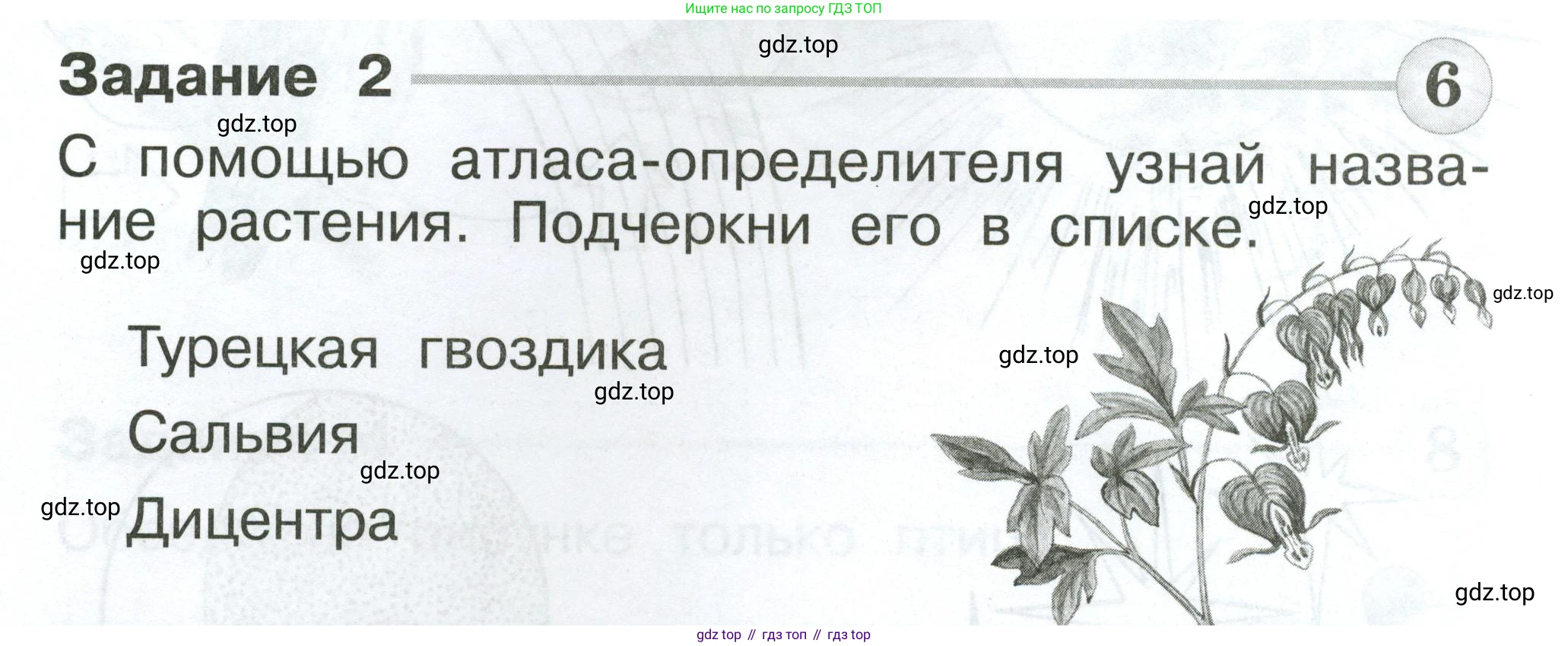 ГДЗ Окружающий мир, 1 класс Проверочные работы, авторы: Плешаков Андрей Анатольевич, Плешаков С А, издательство Просвещение, Москва, 2023, белого цвета, страница 10, номер 2, Условие
