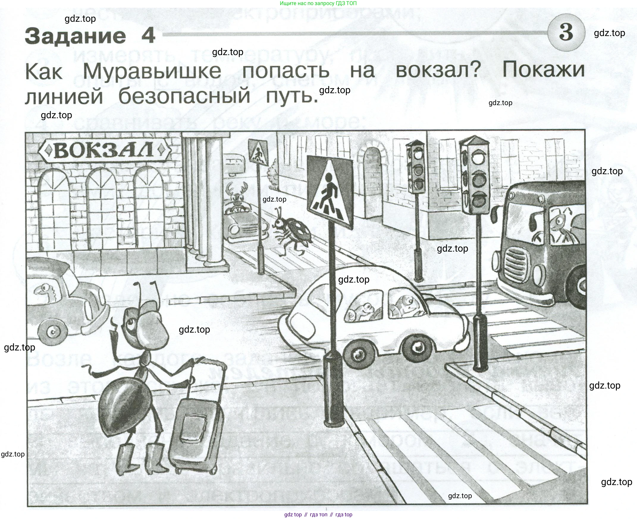 ГДЗ Окружающий мир, 1 класс Проверочные работы, авторы: Плешаков Андрей Анатольевич, Плешаков С А, издательство Просвещение, Москва, 2023, белого цвета, страница 13, номер 4, Условие