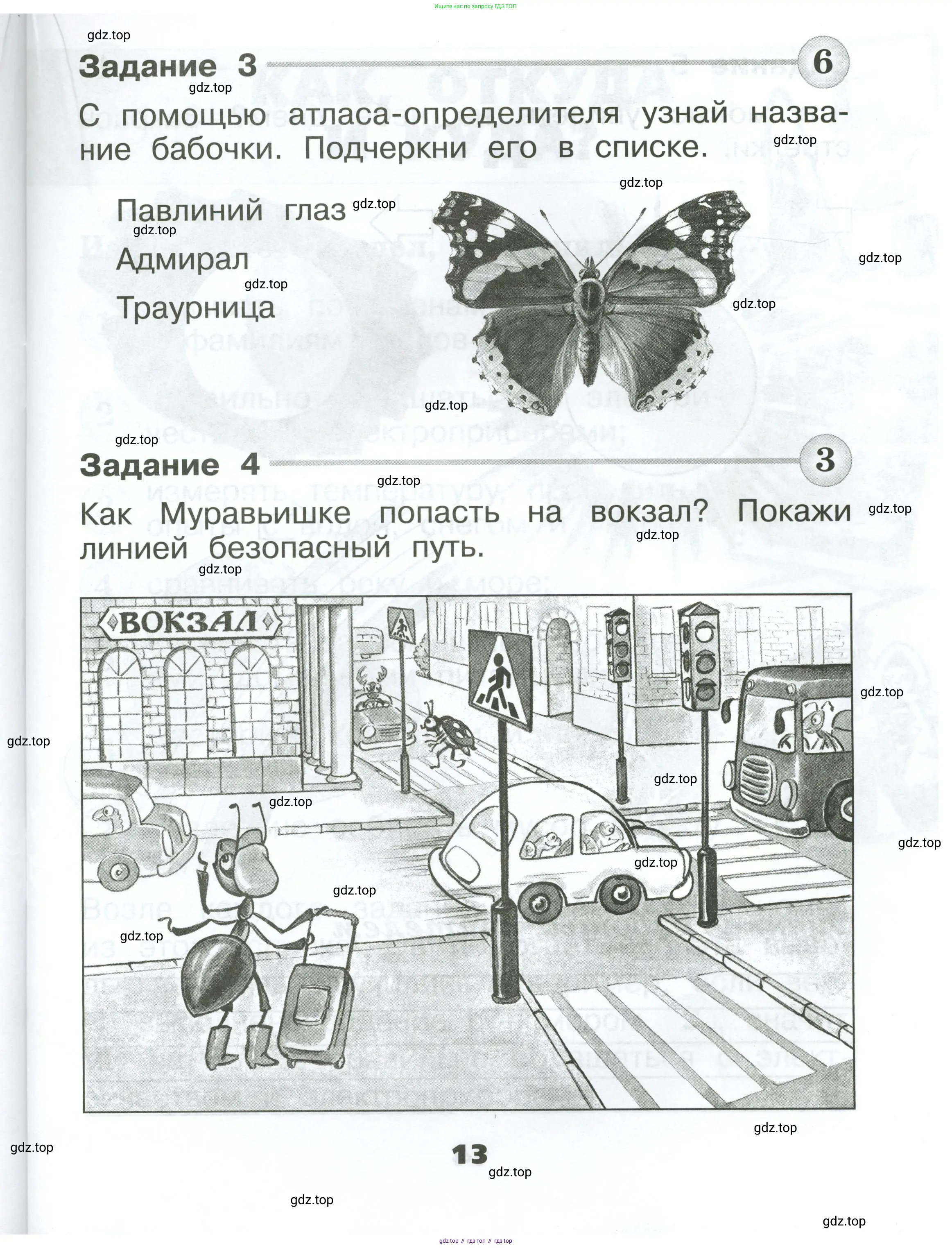 Окружающий мир, 1 класс Проверочные работы, авторы: Плешаков Андрей Анатольевич, Плешаков С А, издательство Просвещение, Москва, 2023, белого цвета, страница 13