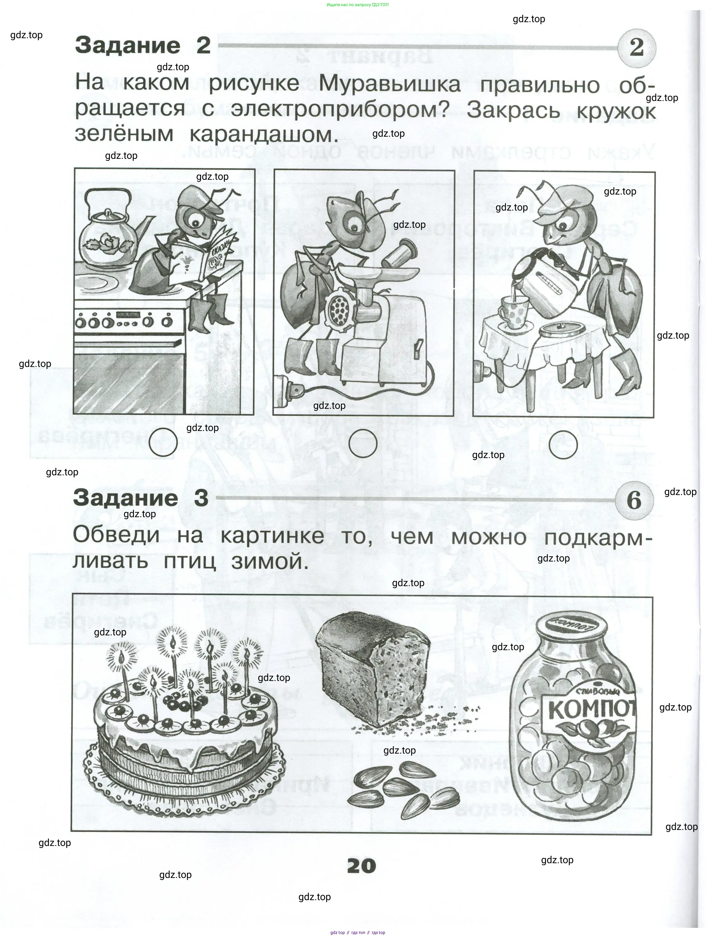 Окружающий мир, 1 класс Проверочные работы, авторы: Плешаков Андрей Анатольевич, Плешаков С А, издательство Просвещение, Москва, 2023, белого цвета, страница 20