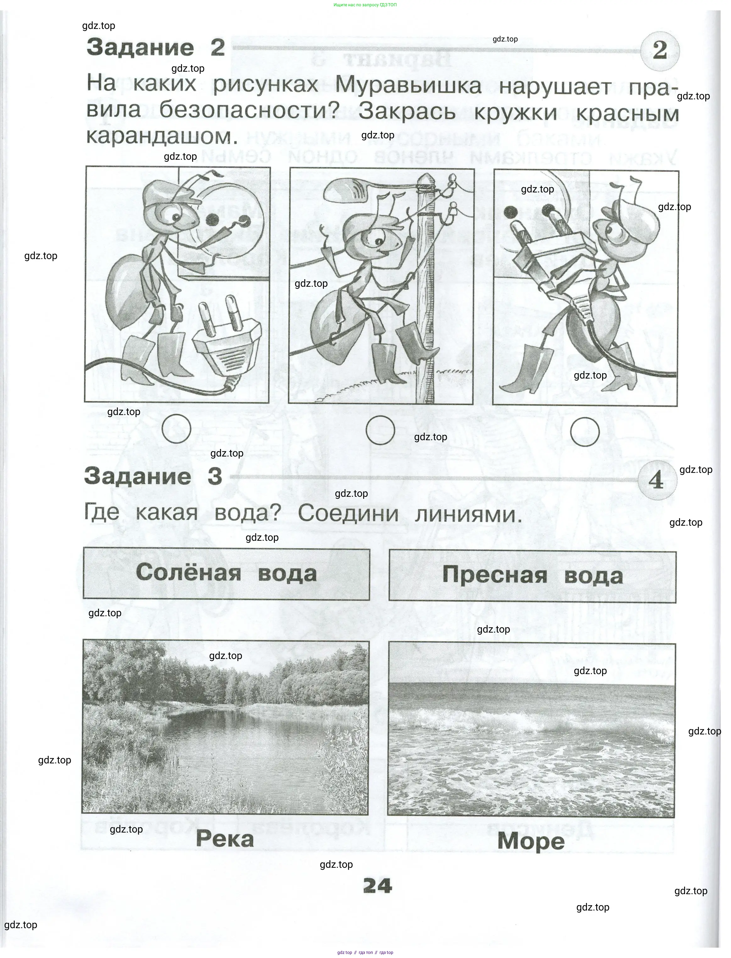 Окружающий мир, 1 класс Проверочные работы, авторы: Плешаков Андрей Анатольевич, Плешаков С А, издательство Просвещение, Москва, 2023, белого цвета, страница 24